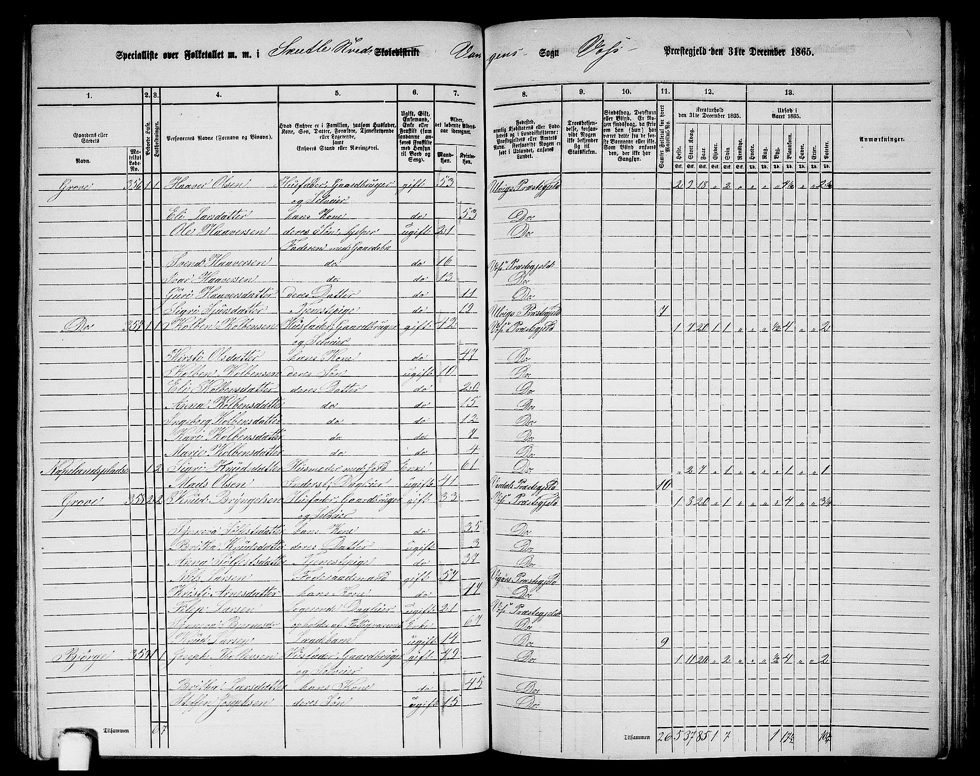 RA, 1865 census for Voss, 1865, p. 165