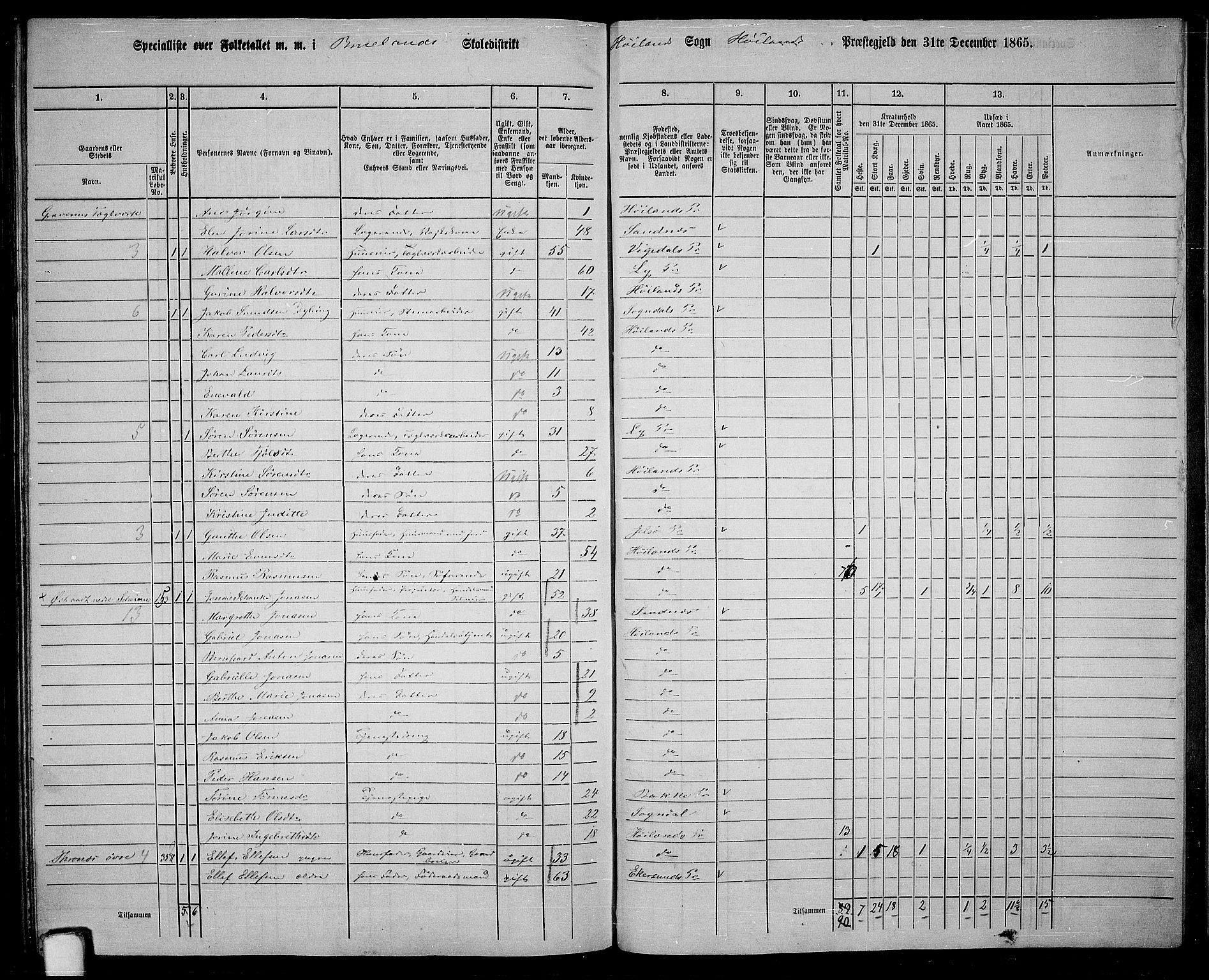 RA, 1865 census for Høyland, 1865, p. 136