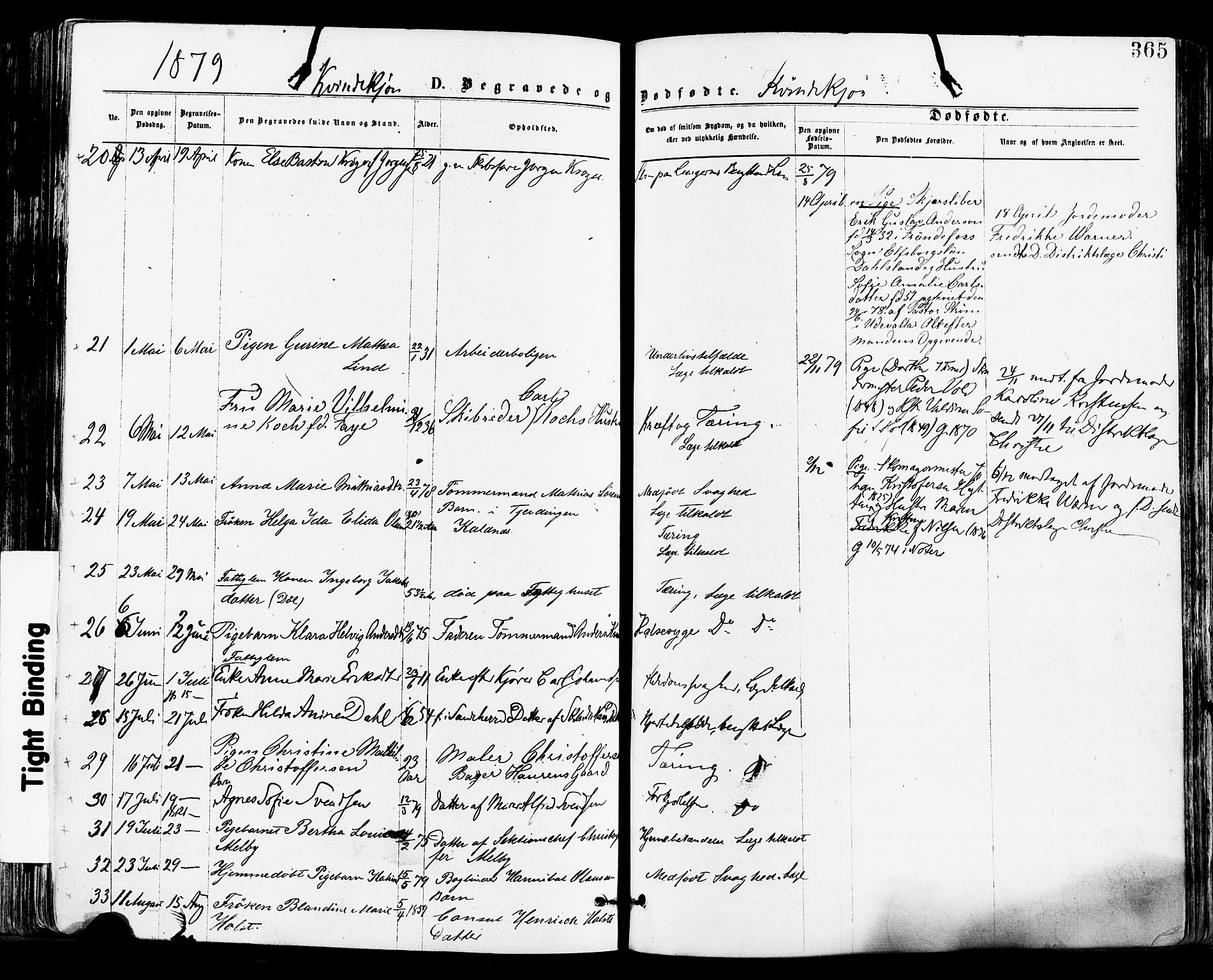Tønsberg kirkebøker, AV/SAKO-A-330/F/Fa/L0010: Parish register (official) no. I 10, 1874-1880, p. 365