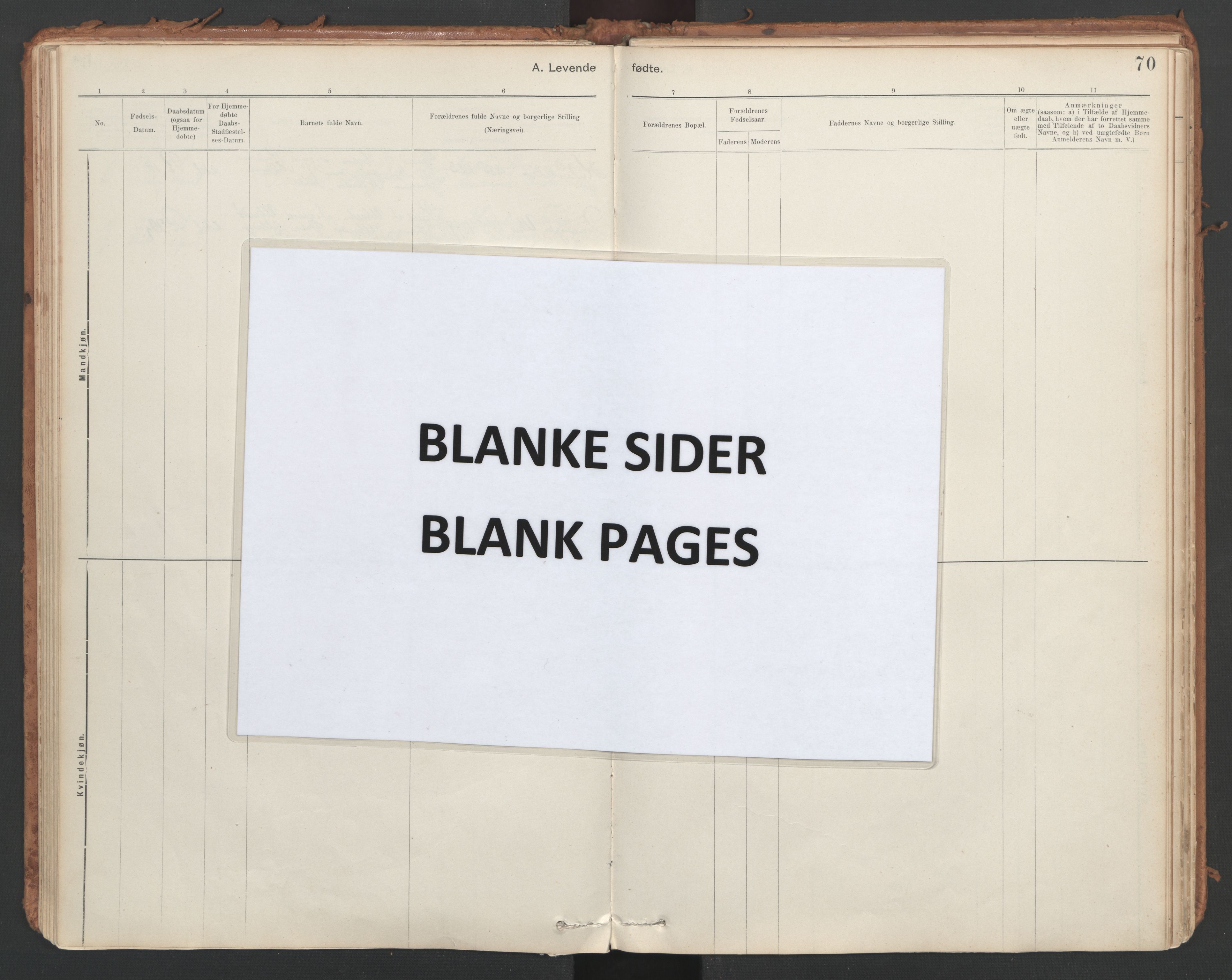 Ministerialprotokoller, klokkerbøker og fødselsregistre - Sør-Trøndelag, SAT/A-1456/639/L0572: Parish register (official) no. 639A01, 1890-1920, p. 70