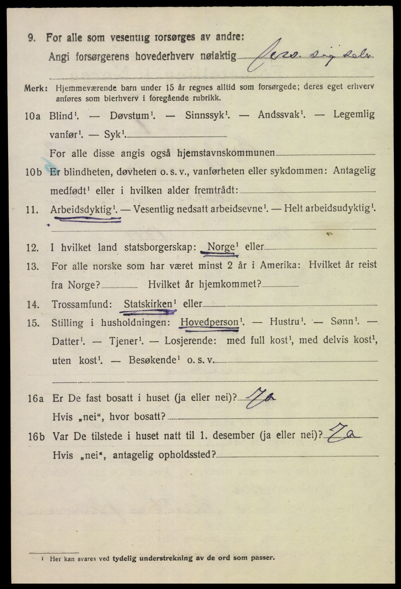 SAK, 1920 census for Bykle, 1920, p. 1004