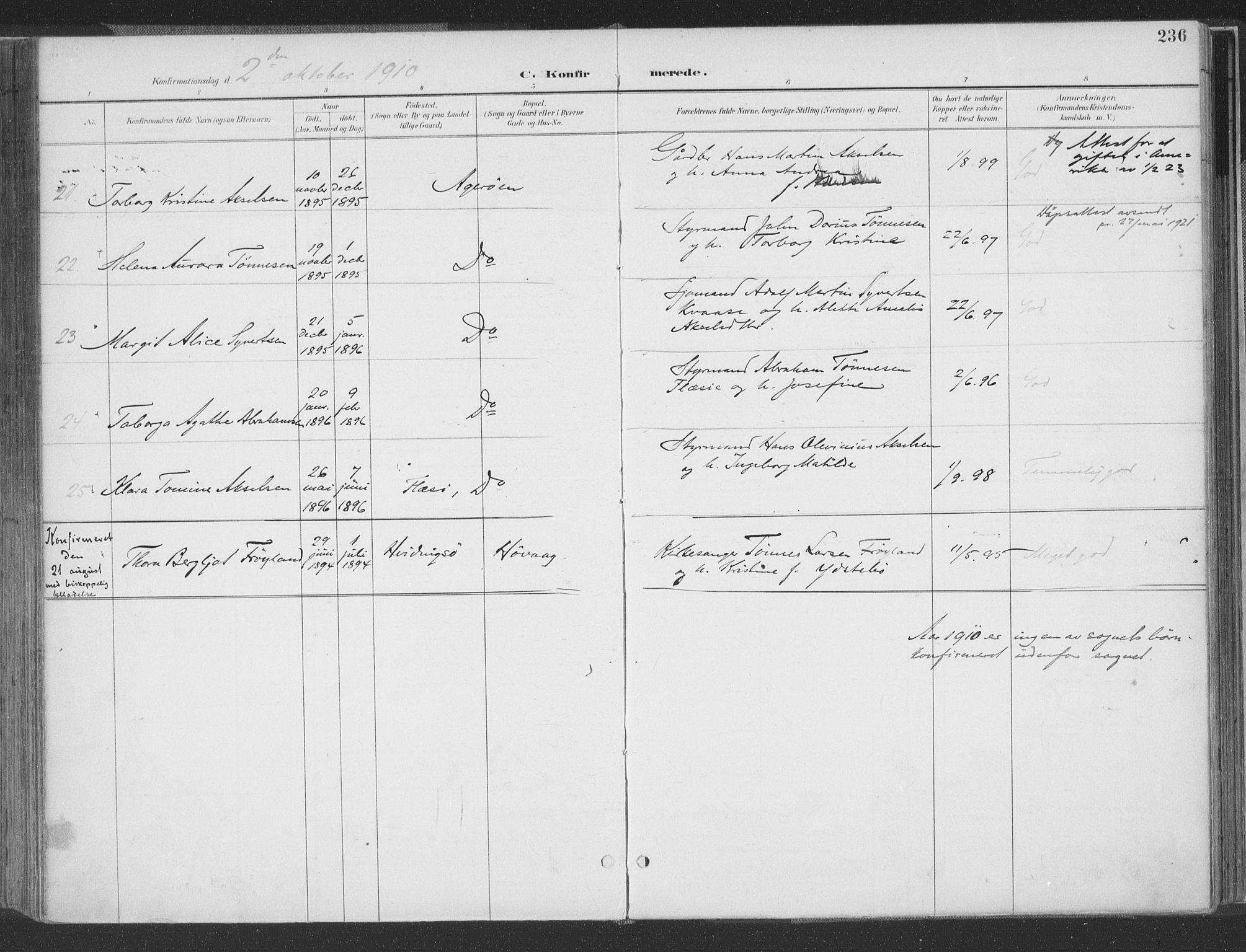 Høvåg sokneprestkontor, AV/SAK-1111-0025/F/Fa/L0006: Parish register (official) no. A 6, 1894-1923, p. 236