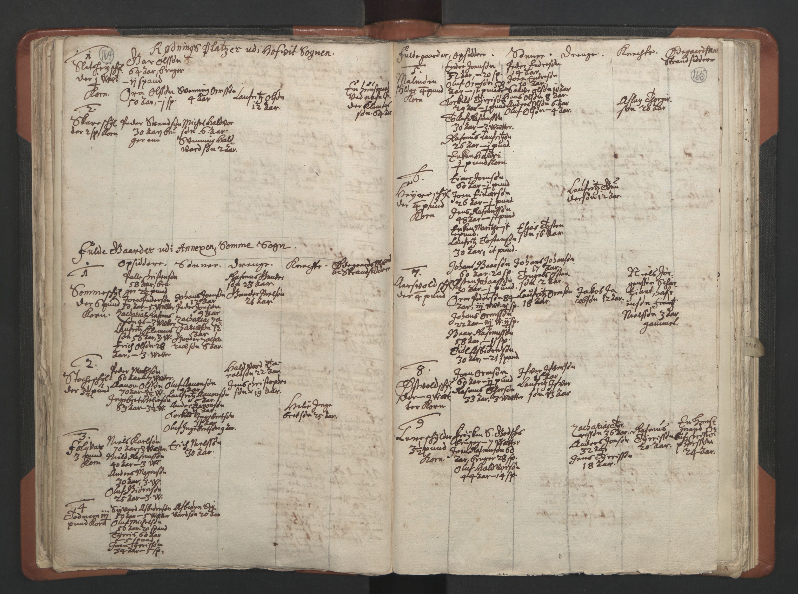 RA, Vicar's Census 1664-1666, no. 17: Jæren deanery and Dalane deanery, 1664-1666, p. 164-165