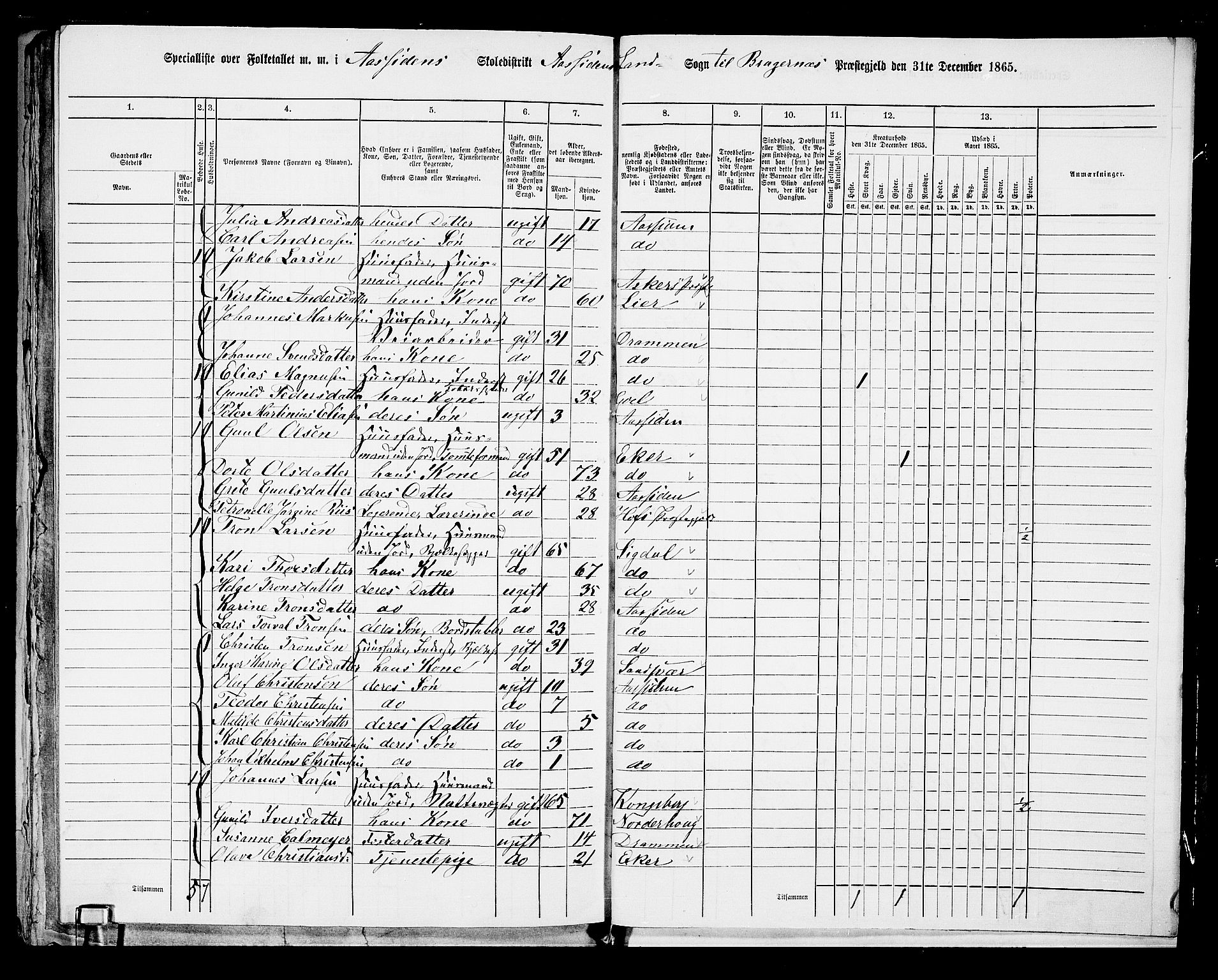 RA, 1865 census for Bragernes/Åssiden, 1865, p. 37