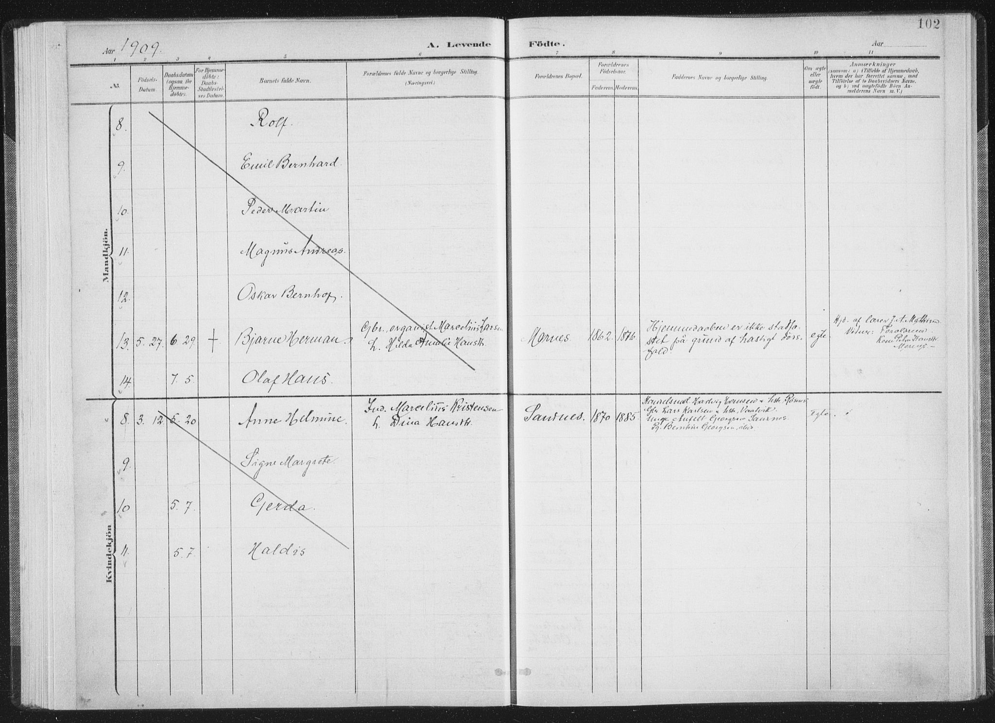 Ministerialprotokoller, klokkerbøker og fødselsregistre - Nordland, AV/SAT-A-1459/805/L0102: Parish register (official) no. 805A08I, 1900-1909, p. 102