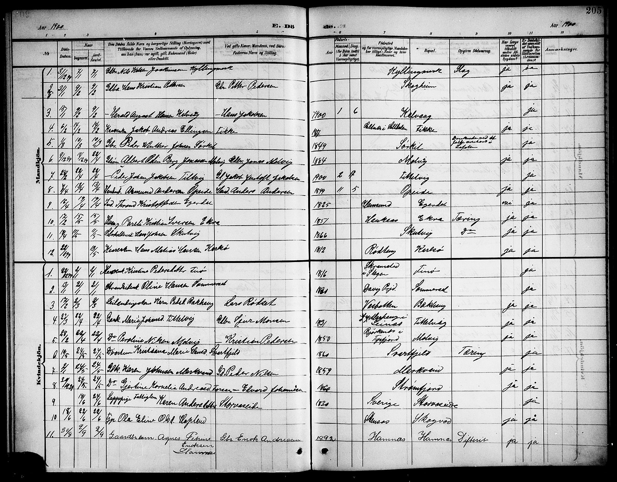 Ministerialprotokoller, klokkerbøker og fødselsregistre - Nordland, AV/SAT-A-1459/859/L0860: Parish register (copy) no. 859C06, 1899-1909, p. 205