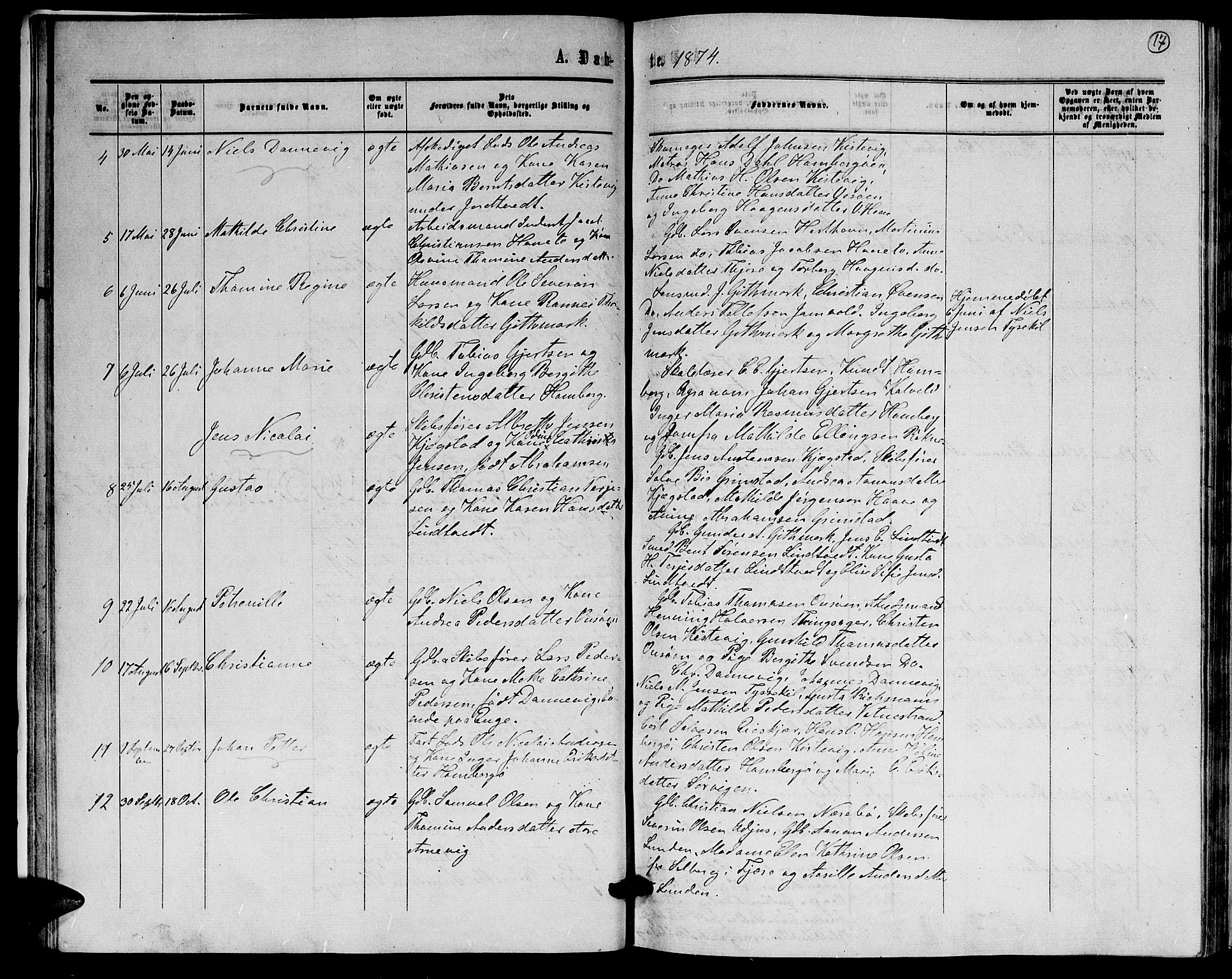 Hommedal sokneprestkontor, AV/SAK-1111-0023/F/Fb/Fba/L0003: Parish register (copy) no. B 3, 1863-1884, p. 17