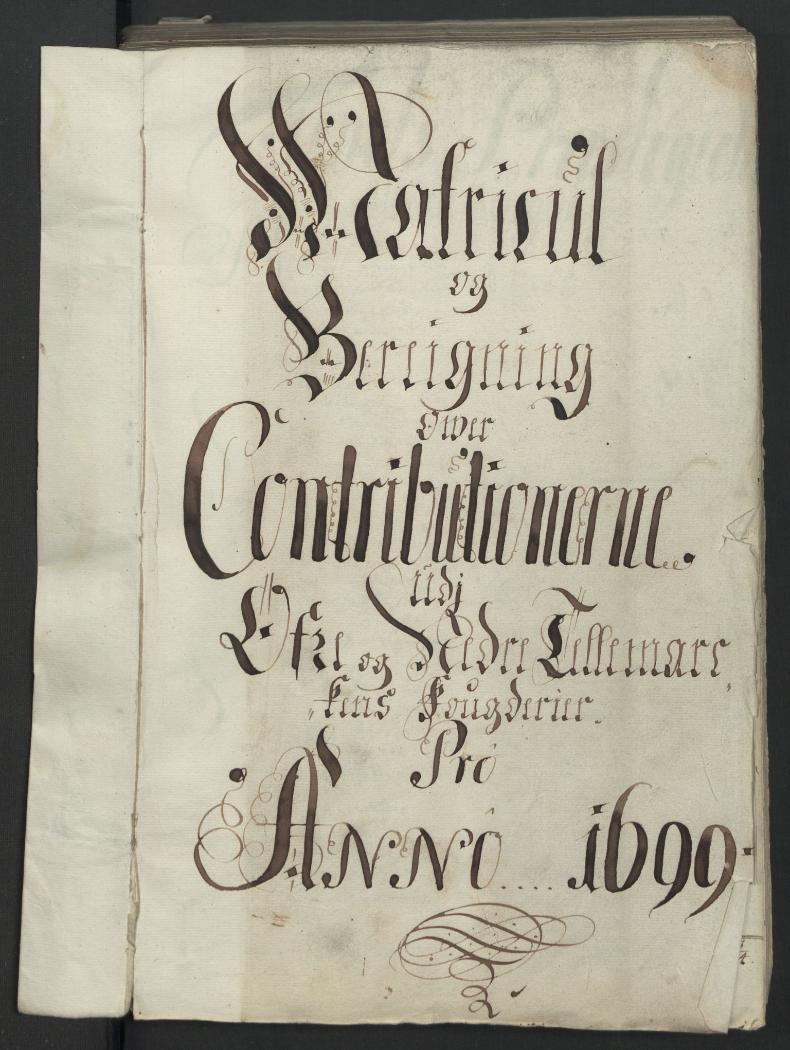 Rentekammeret inntil 1814, Reviderte regnskaper, Fogderegnskap, AV/RA-EA-4092/R36/L2100: Fogderegnskap Øvre og Nedre Telemark og Bamble, 1699, p. 49