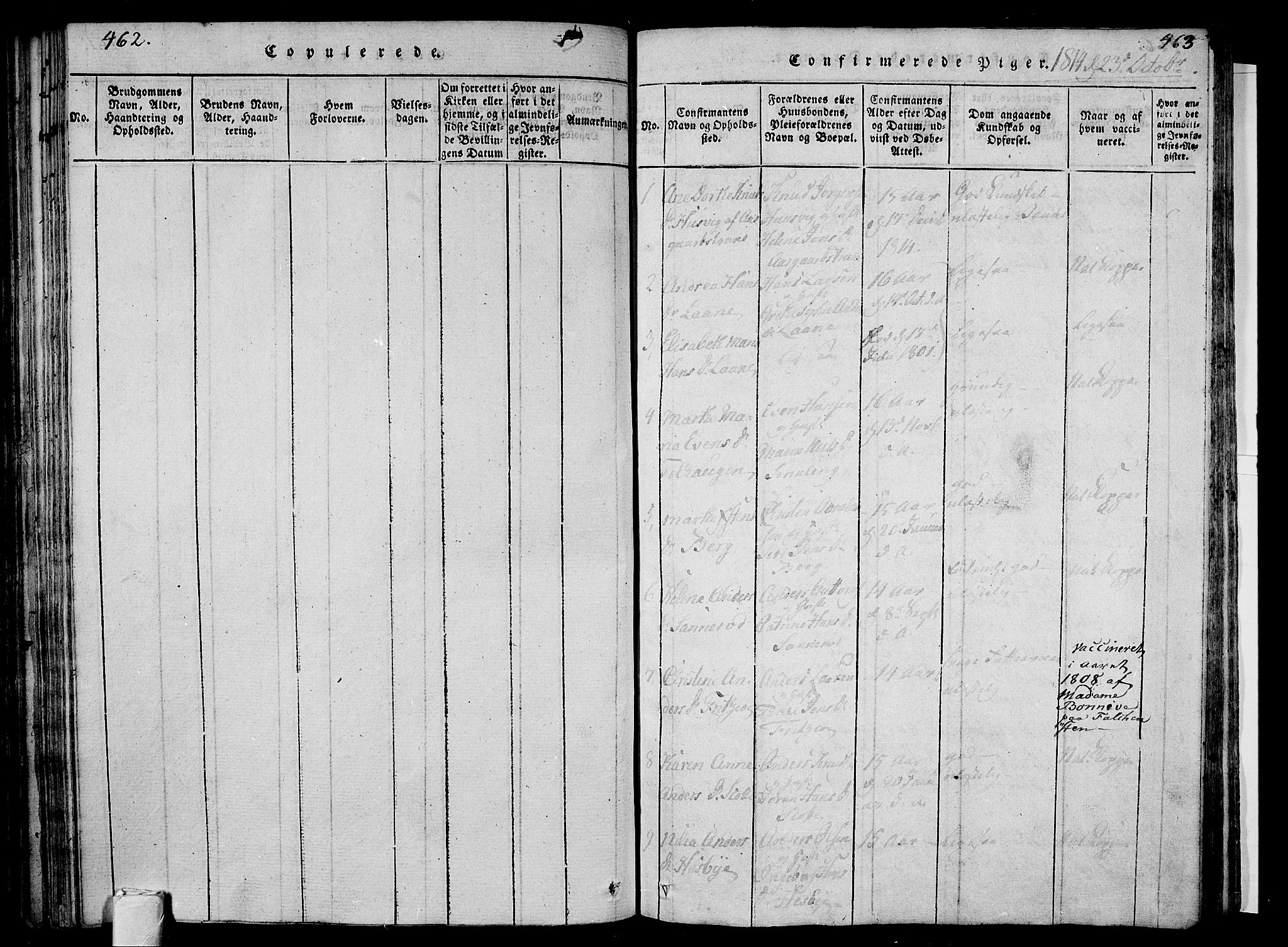 Sem kirkebøker, SAKO/A-5/F/Fa/L0004: Parish register (official) no. I 4, 1814-1825, p. 462-463