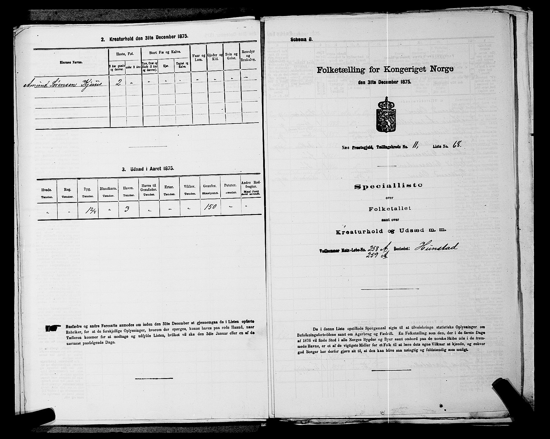 RA, 1875 census for 0236P Nes, 1875, p. 2025