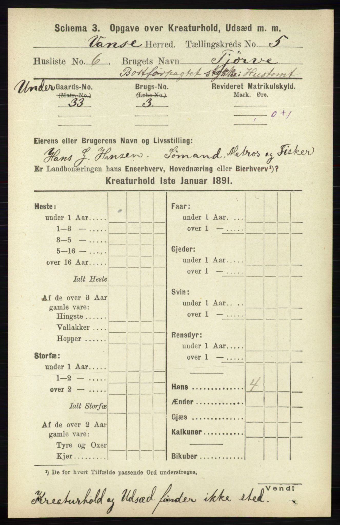 RA, 1891 census for 1041 Vanse, 1891, p. 8745