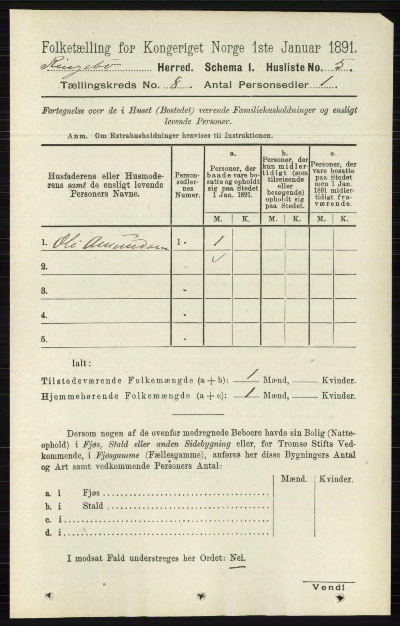 RA, 1891 census for 0520 Ringebu, 1891, p. 3585