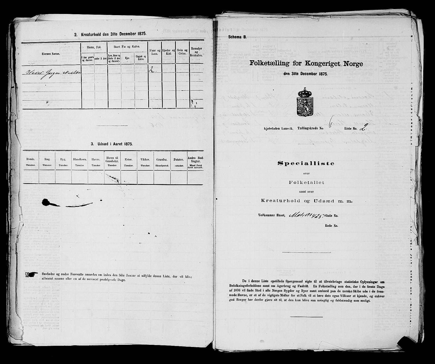 SAKO, 1875 census for 0707P Larvik, 1875, p. 1125