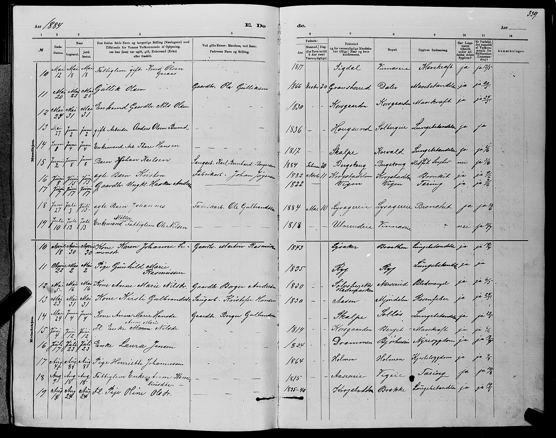 Nedre Eiker kirkebøker, AV/SAKO-A-612/G/Ga/L0002: Parish register (copy) no. 2, 1880-1896, p. 339