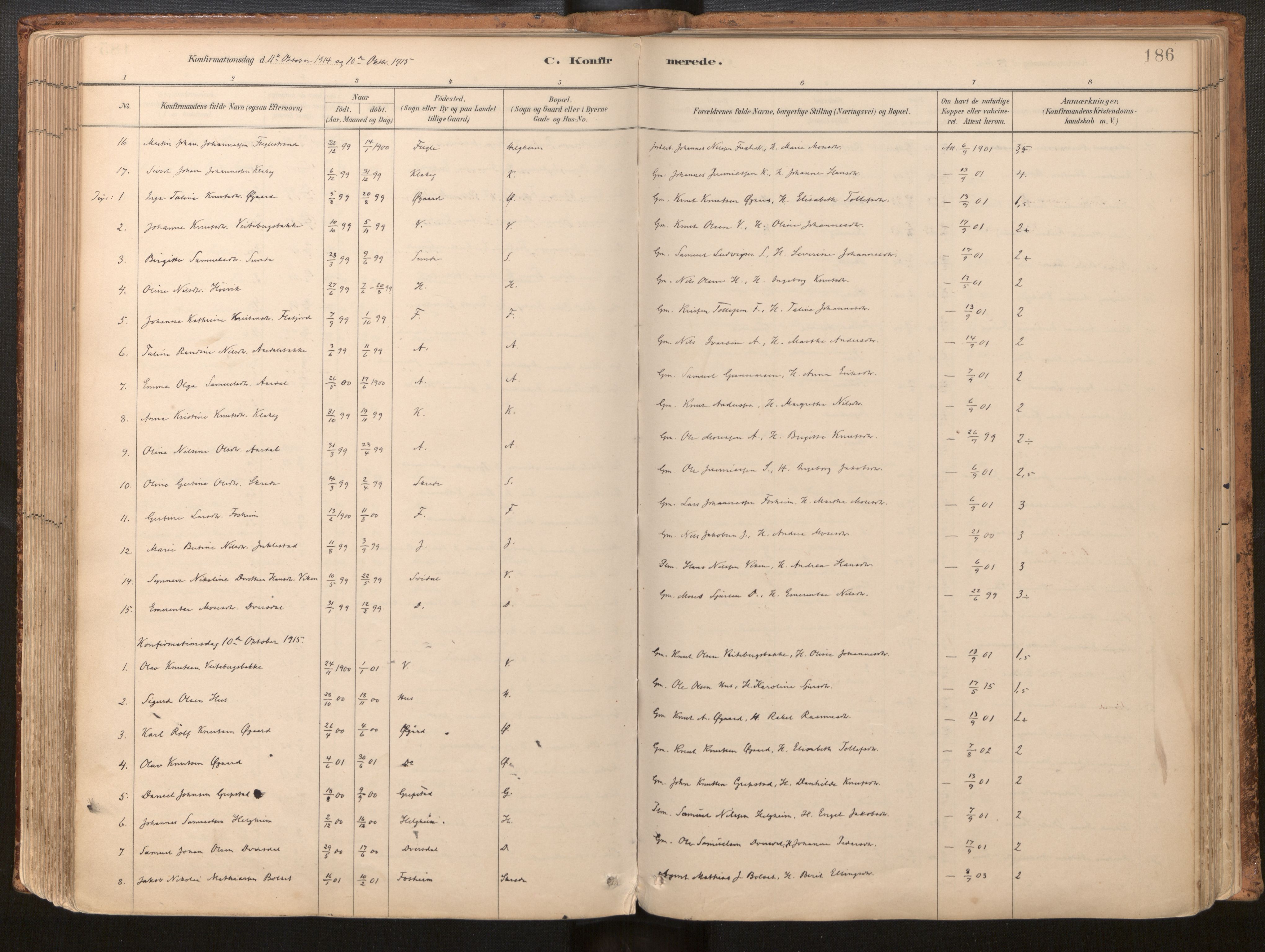 Jølster sokneprestembete, SAB/A-80701/H/Haa/Haac/L0001: Parish register (official) no. C 1, 1882-1928, p. 186