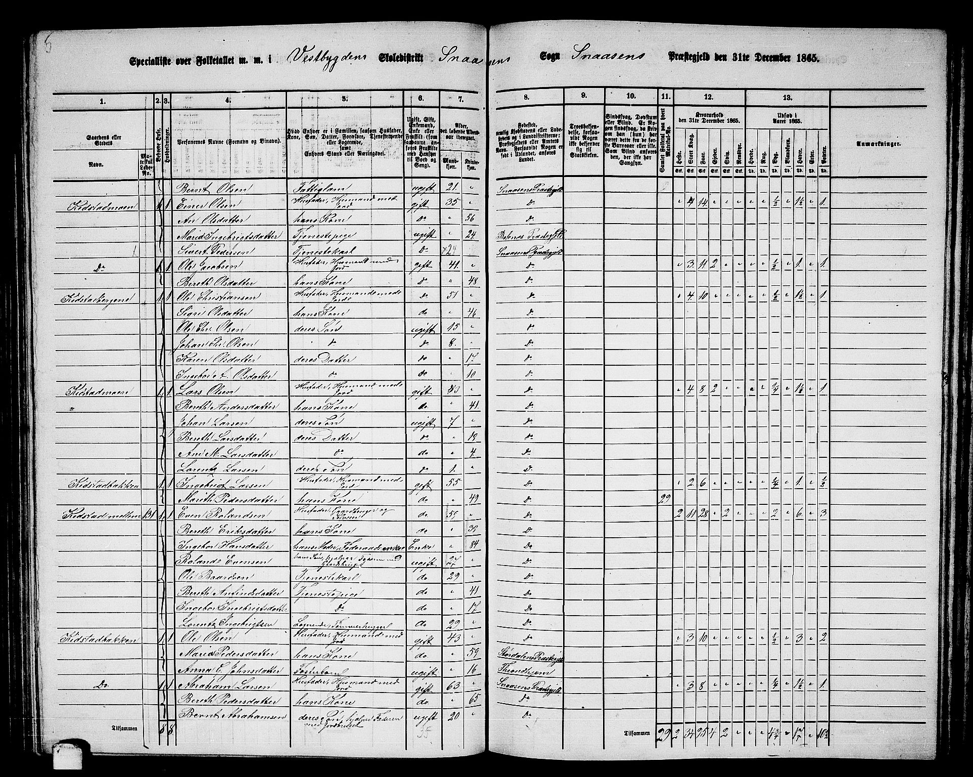 RA, 1865 census for Snåsa, 1865, p. 81