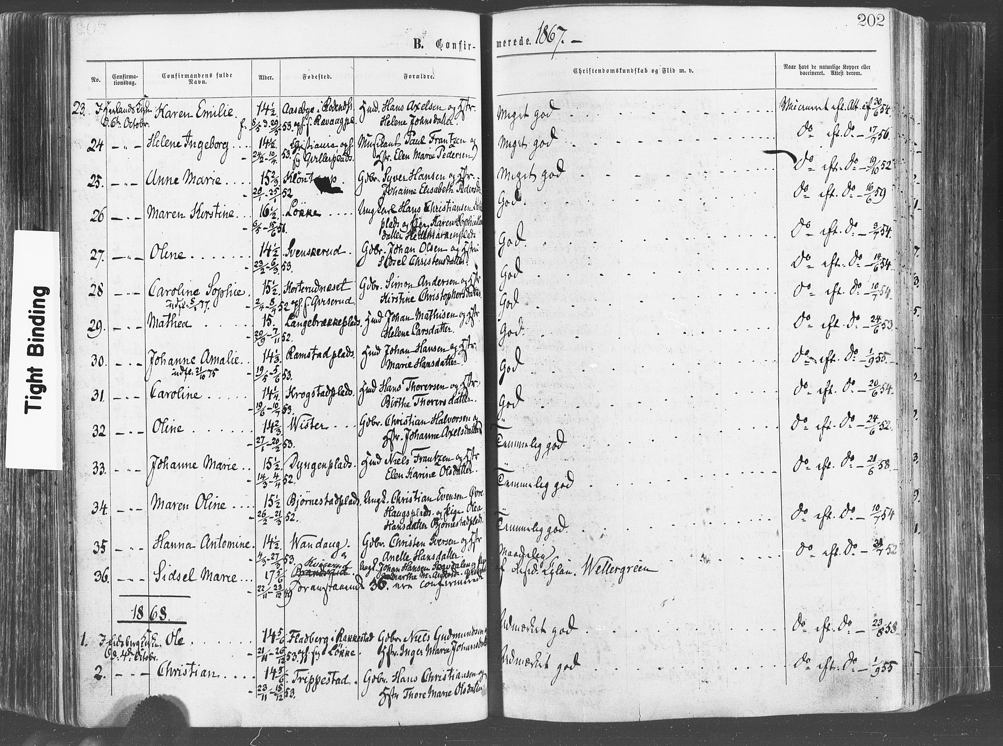 Eidsberg prestekontor Kirkebøker, SAO/A-10905/F/Fa/L0011: Parish register (official) no. I 11, 1867-1878, p. 202
