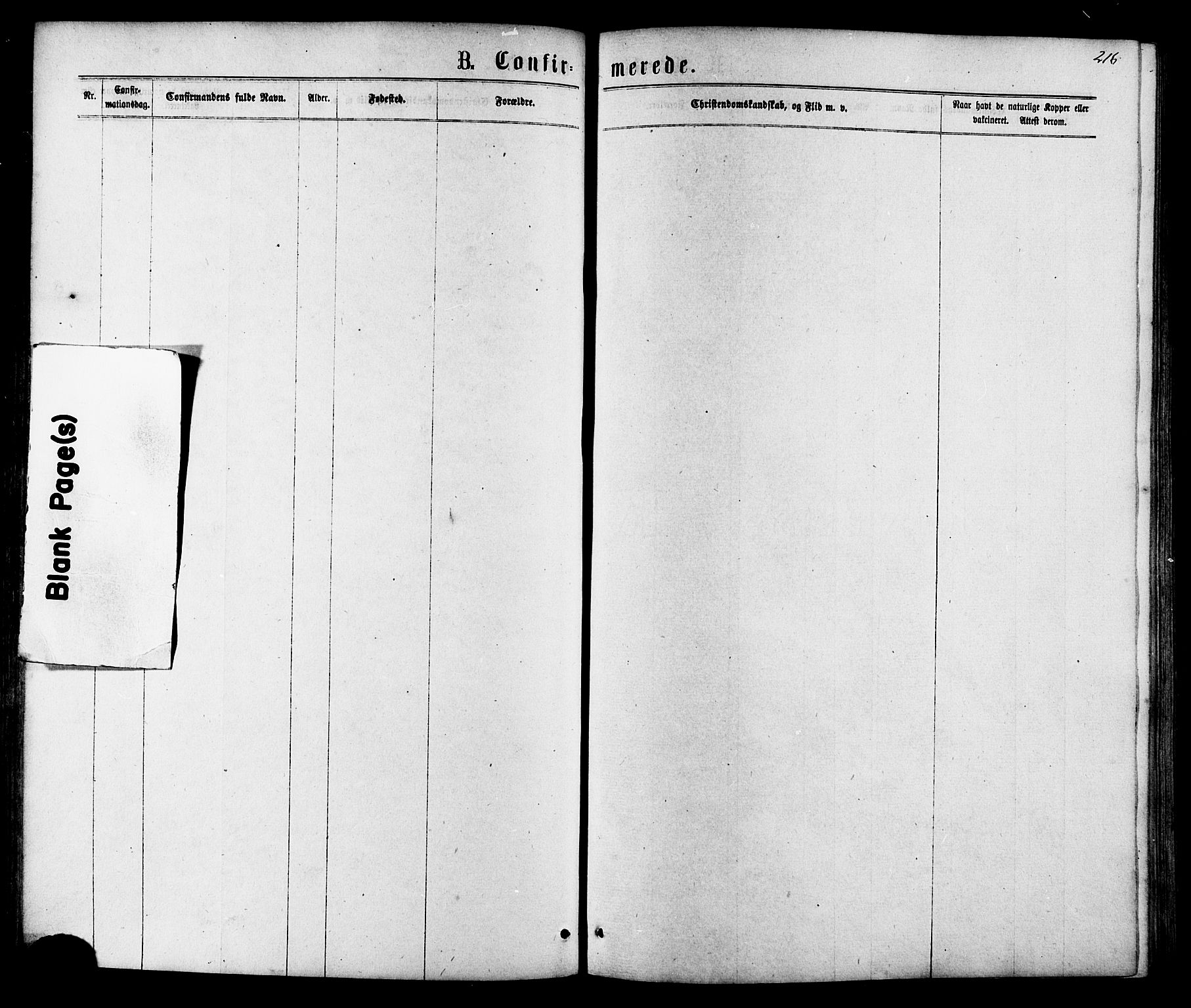 Ministerialprotokoller, klokkerbøker og fødselsregistre - Nordland, AV/SAT-A-1459/801/L0029: Parish register (copy) no. 801C04, 1868-1878, p. 216