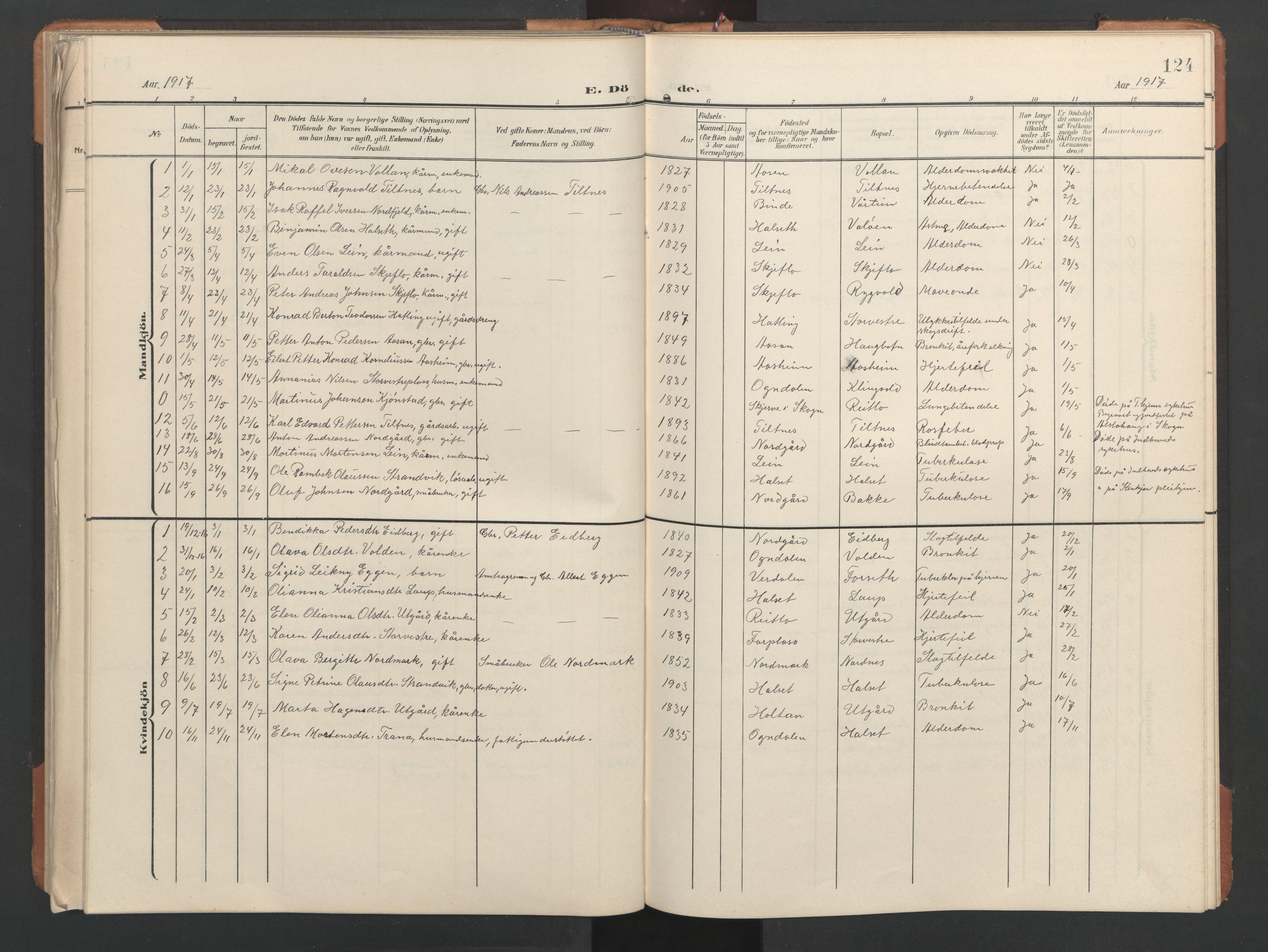 Ministerialprotokoller, klokkerbøker og fødselsregistre - Nord-Trøndelag, AV/SAT-A-1458/746/L0455: Parish register (copy) no. 746C01, 1908-1933, p. 124