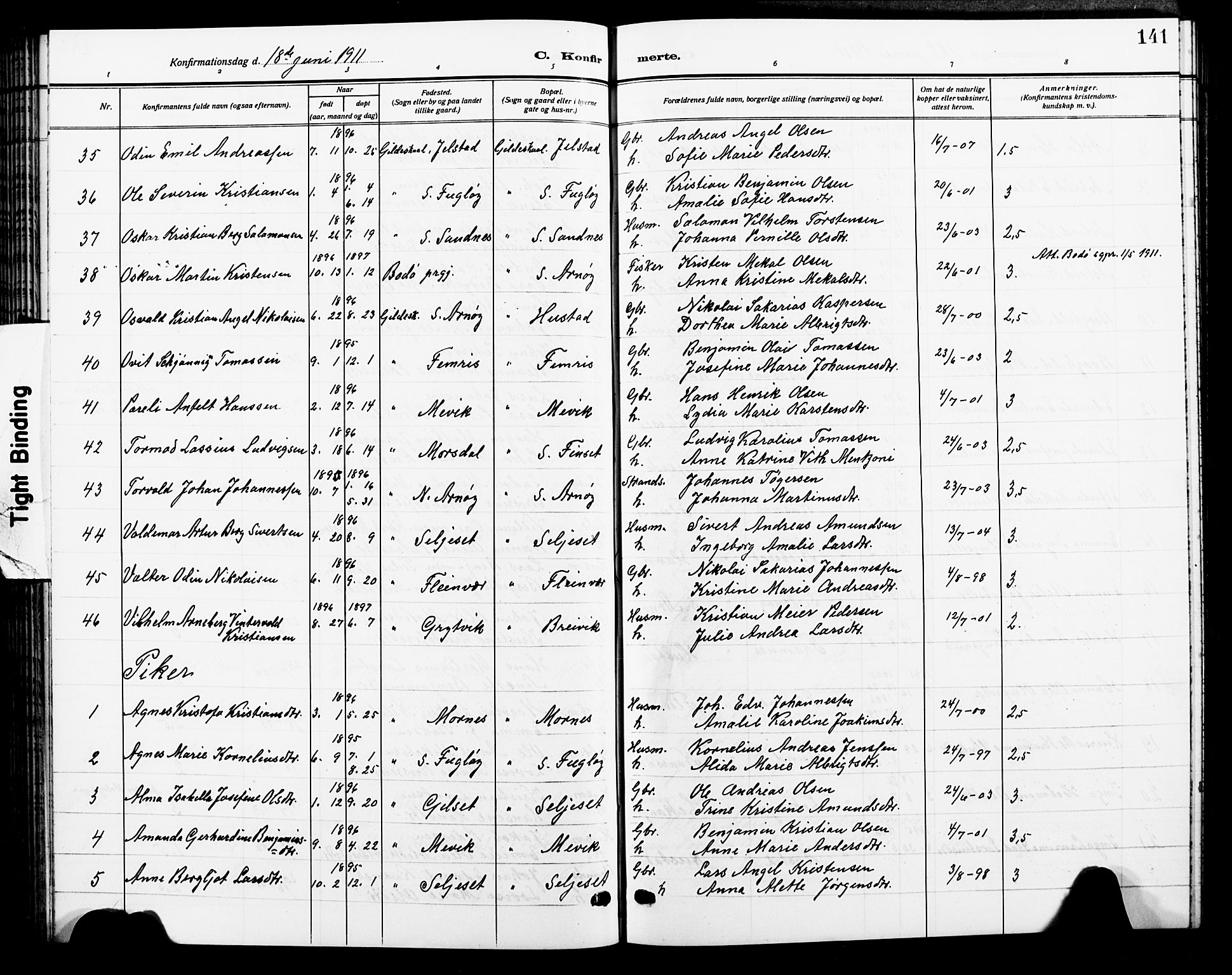 Ministerialprotokoller, klokkerbøker og fødselsregistre - Nordland, AV/SAT-A-1459/805/L0110: Parish register (copy) no. 805C06, 1909-1924, p. 141