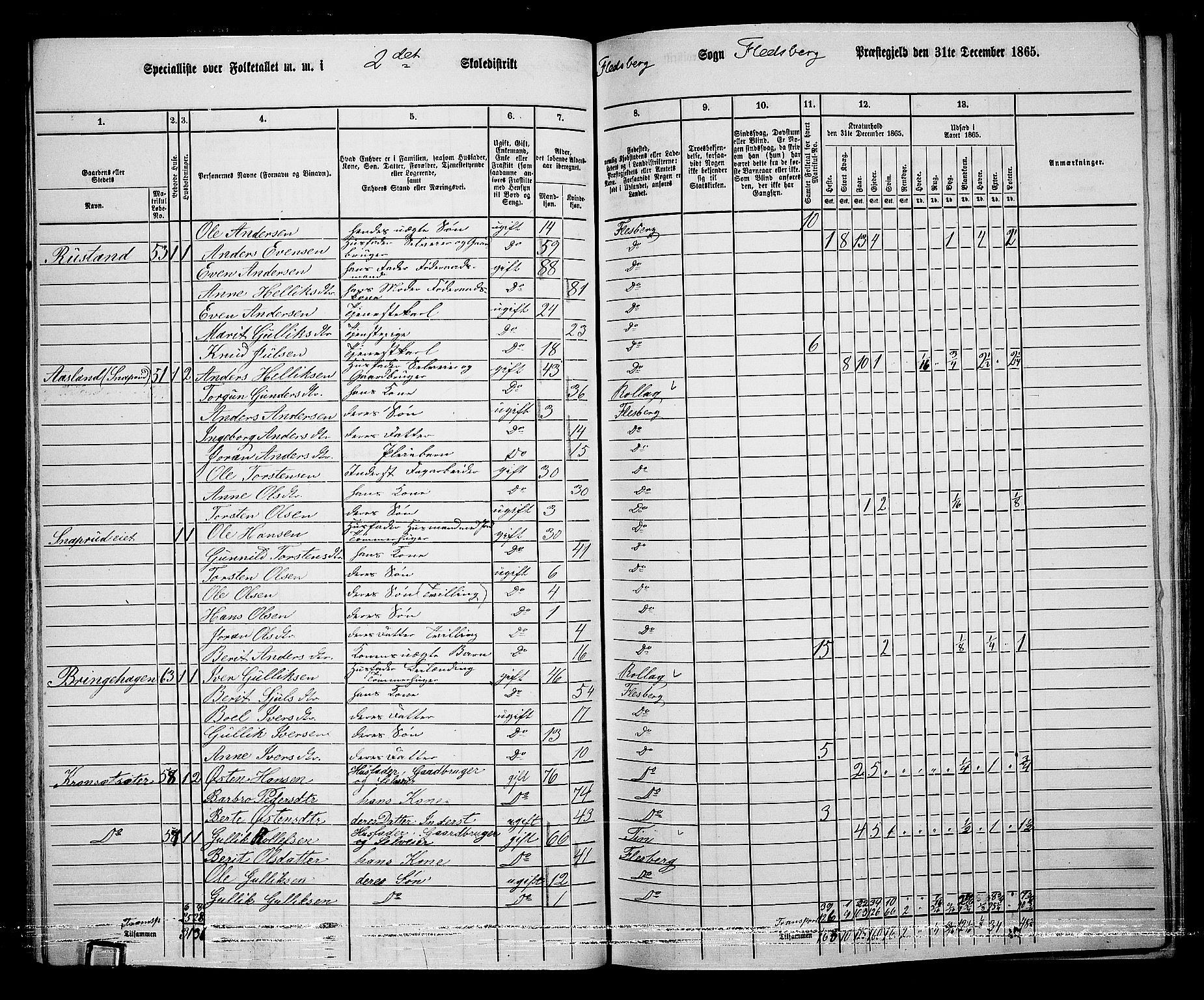 RA, 1865 census for Flesberg, 1865, p. 37