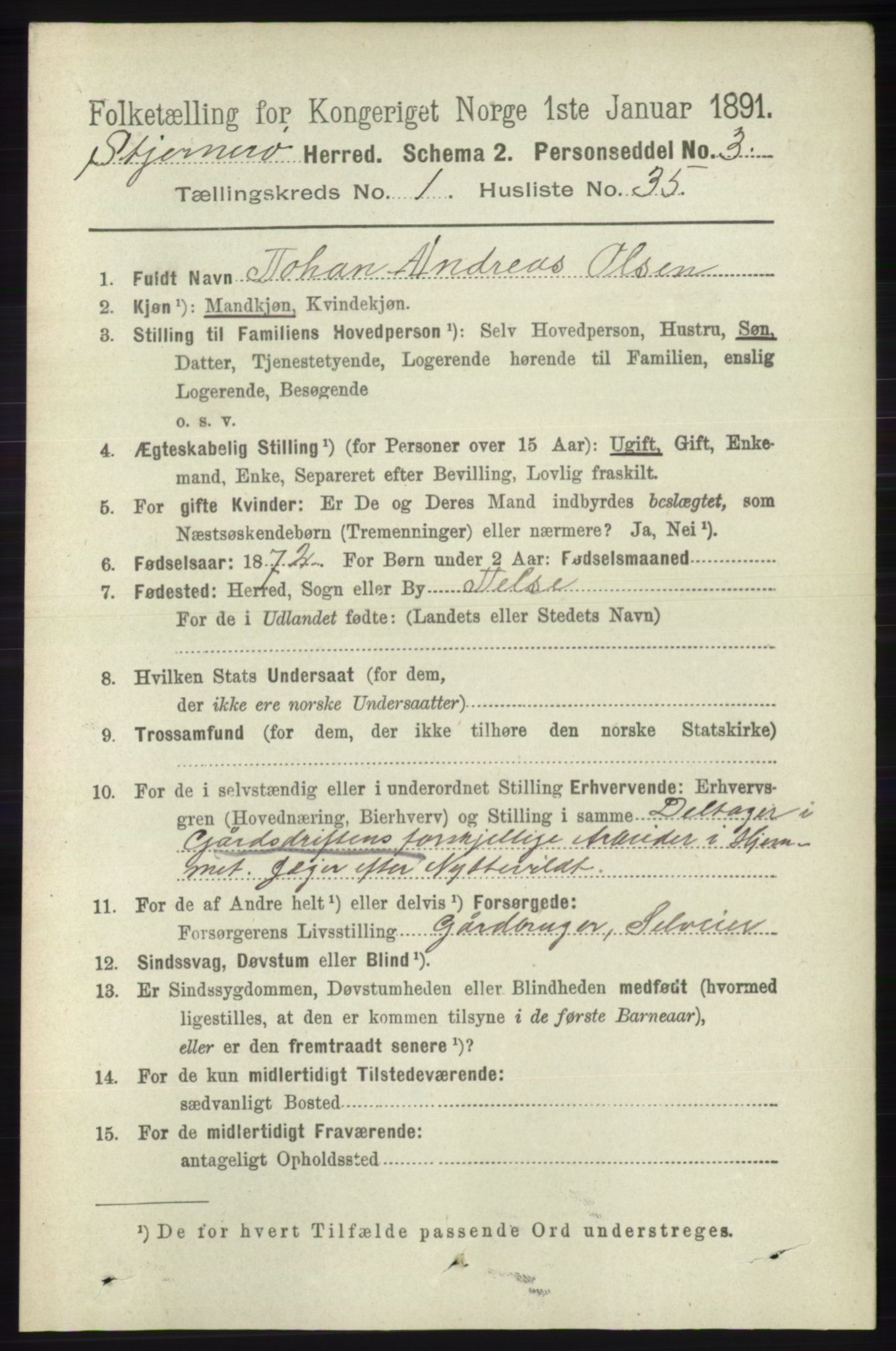 RA, 1891 census for 1140 Sjernarøy, 1891, p. 215