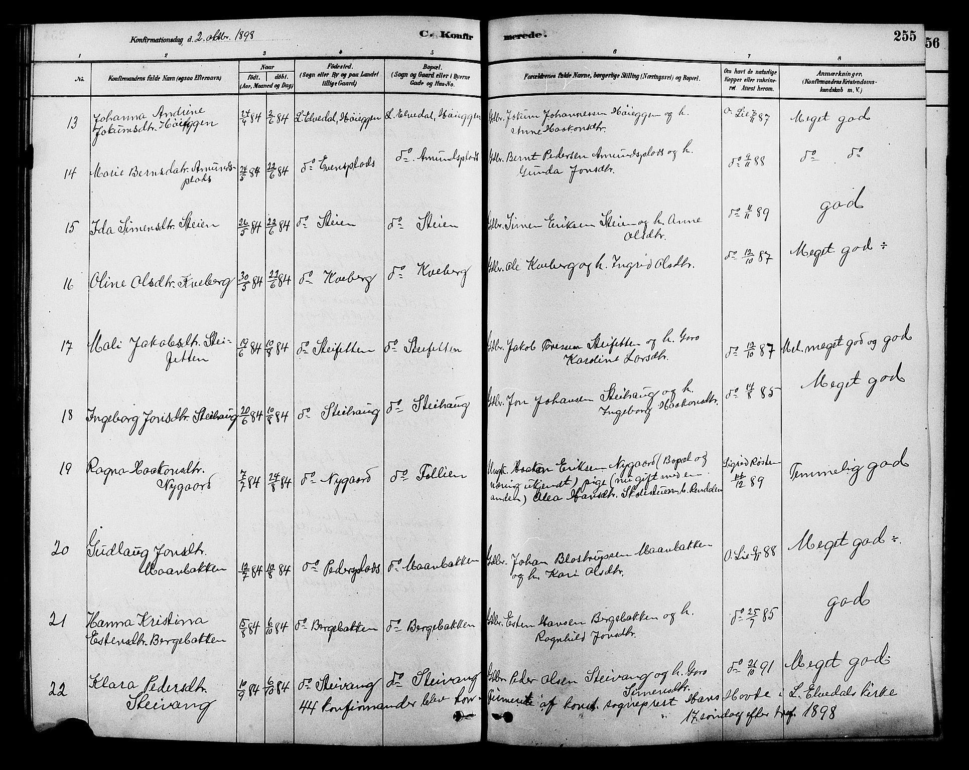 Alvdal prestekontor, SAH/PREST-060/H/Ha/Hab/L0003: Parish register (copy) no. 3, 1878-1907, p. 255