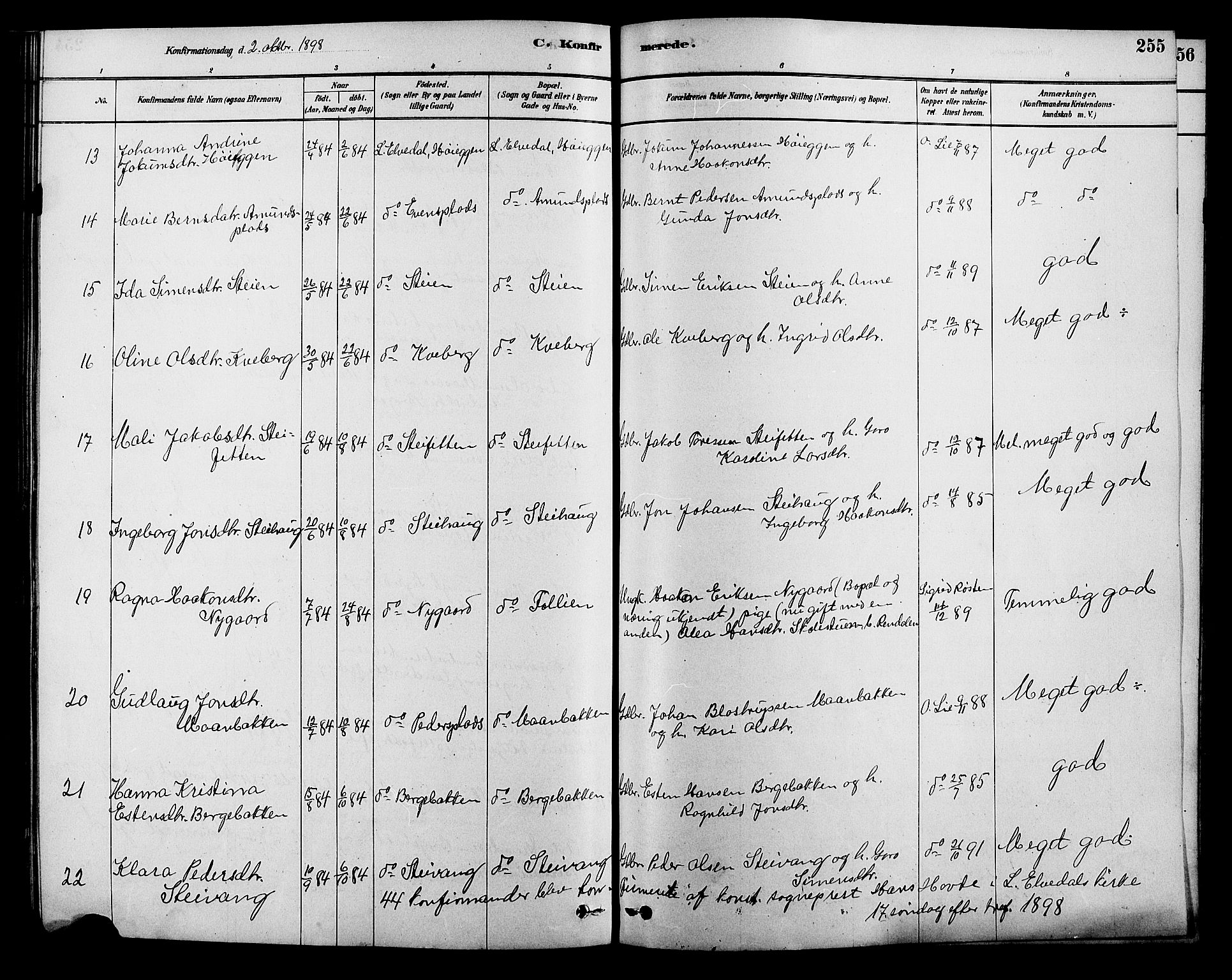 Alvdal prestekontor, AV/SAH-PREST-060/H/Ha/Hab/L0003: Parish register (copy) no. 3, 1878-1907, p. 255