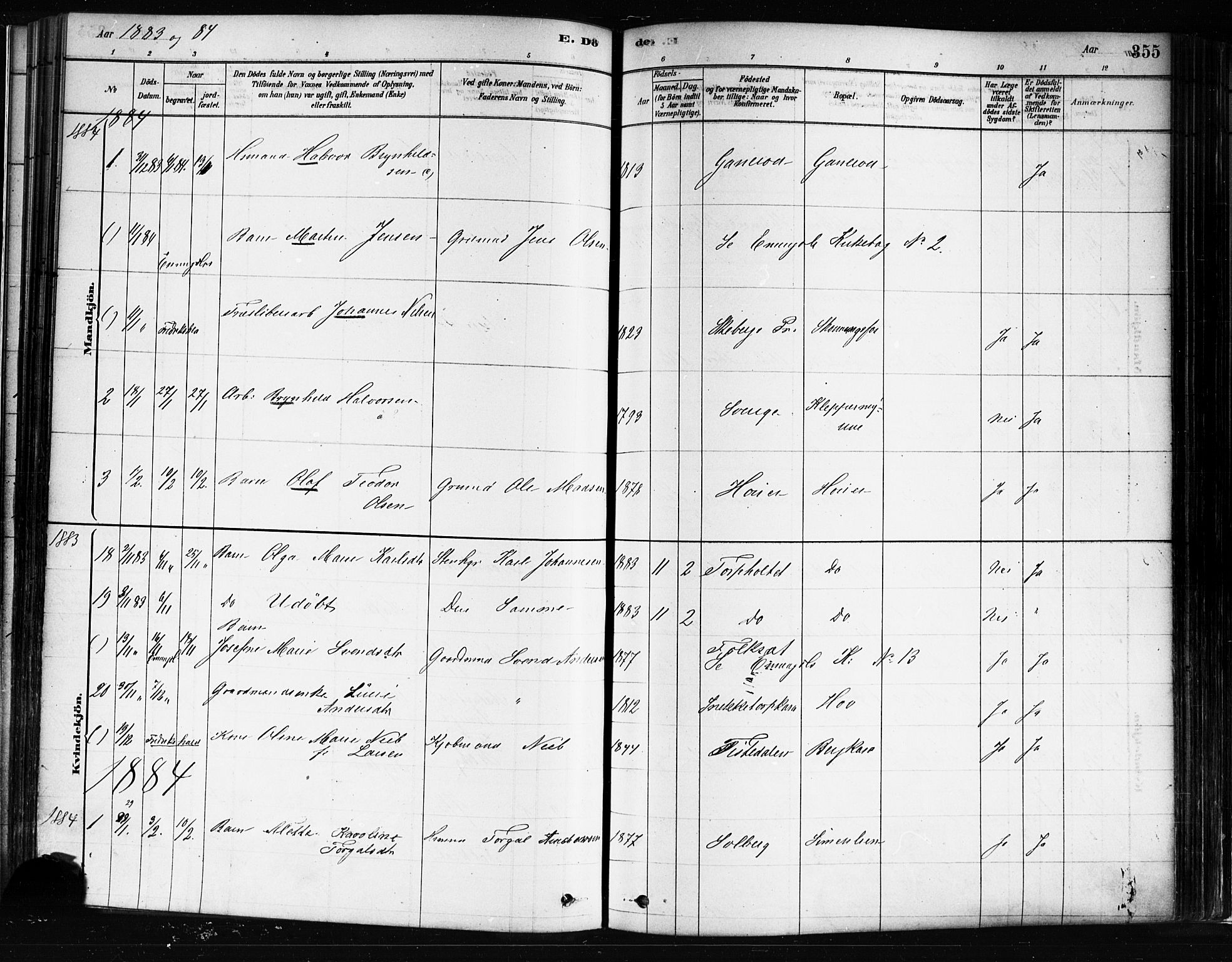 Idd prestekontor Kirkebøker, SAO/A-10911/F/Fc/L0006b: Parish register (official) no. III 6B, 1878-1903, p. 355