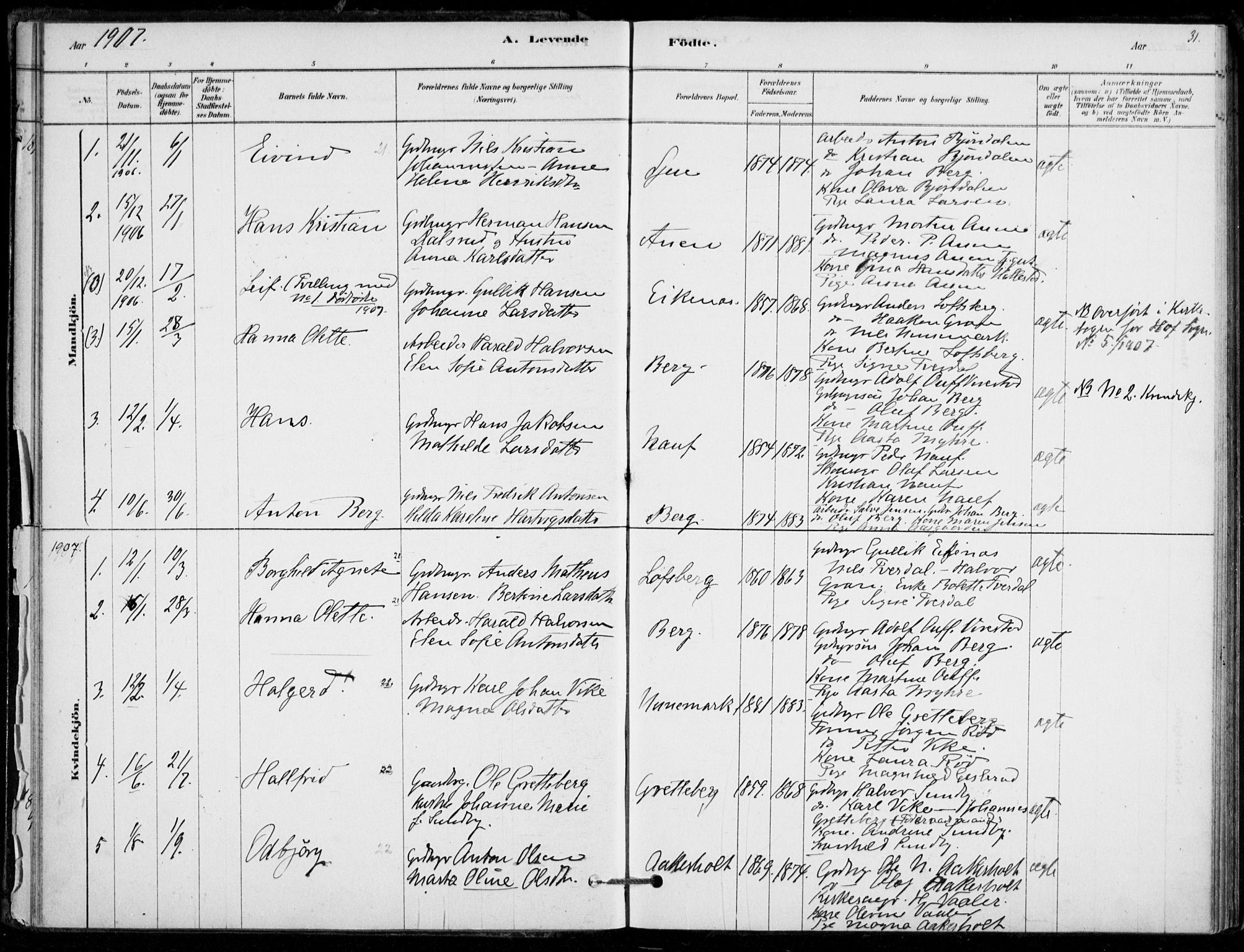 Hof kirkebøker, AV/SAKO-A-64/F/Fb/L0001: Parish register (official) no. II 1, 1878-1907, p. 31