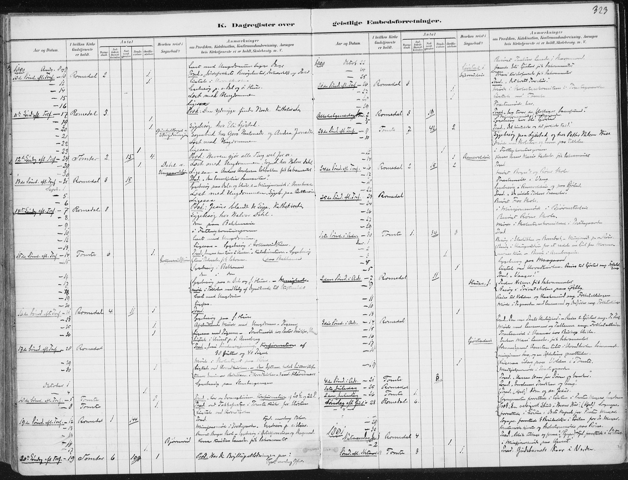 Romedal prestekontor, SAH/PREST-004/K/L0010: Parish register (official) no. 10, 1880-1895, p. 323