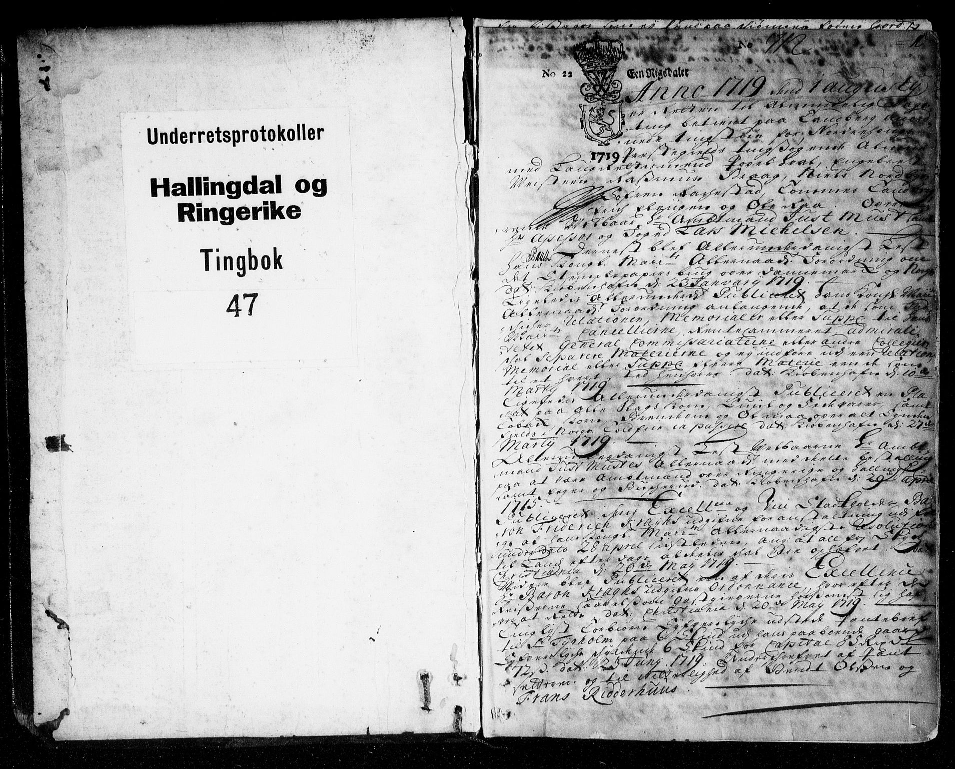 Ringerike og Hallingdal sorenskriveri, AV/SAKO-A-81/F/Fa/Faa/L0029: Tingbok, 1719-1721, p. 1