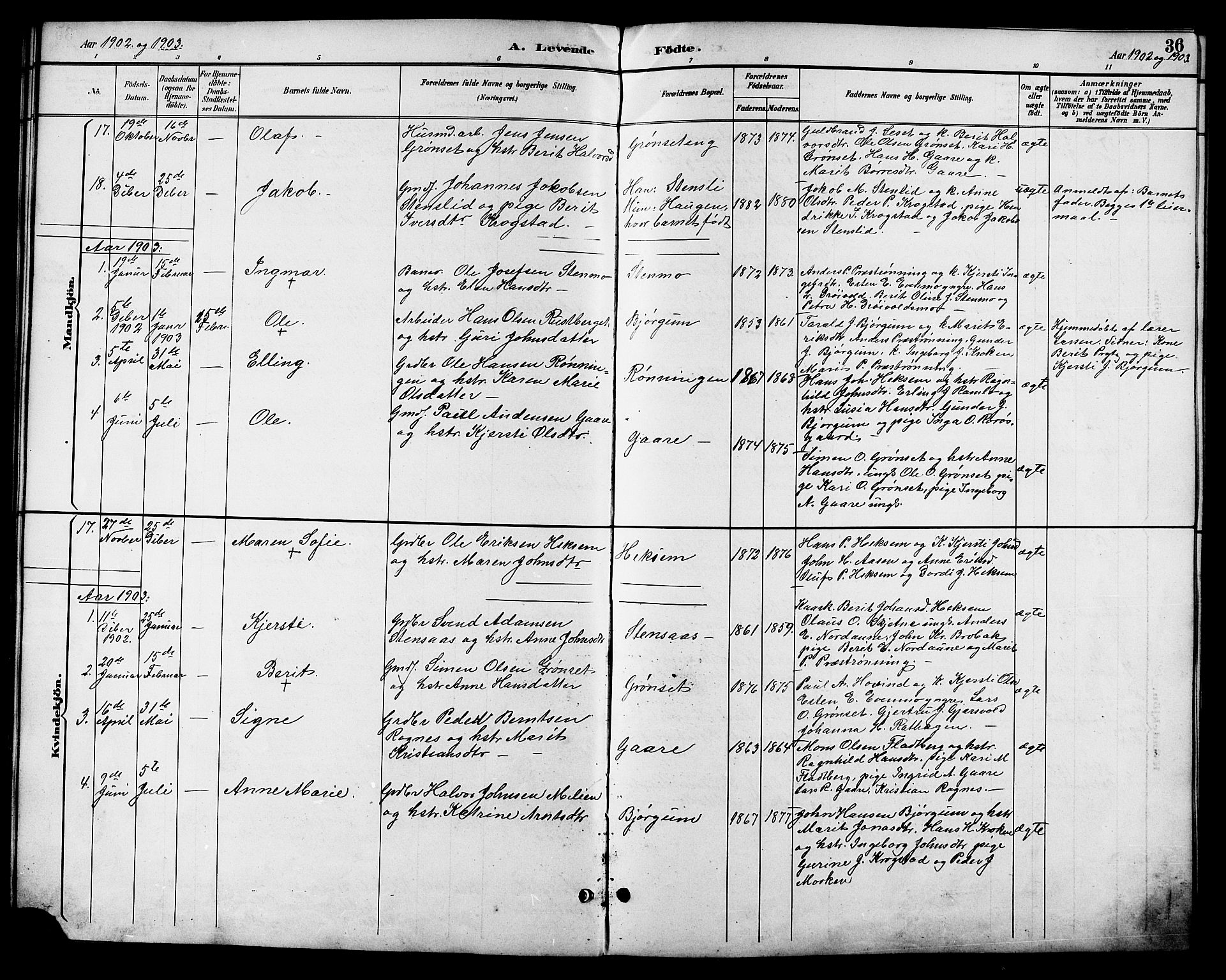 Ministerialprotokoller, klokkerbøker og fødselsregistre - Sør-Trøndelag, SAT/A-1456/685/L0978: Parish register (copy) no. 685C03, 1891-1907, p. 36