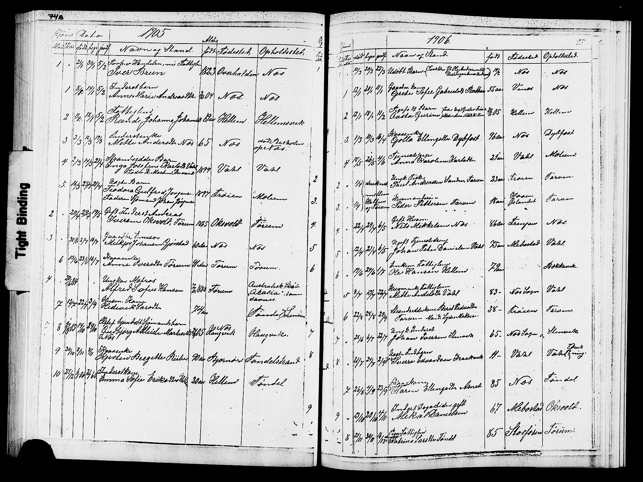 Ministerialprotokoller, klokkerbøker og fødselsregistre - Sør-Trøndelag, SAT/A-1456/652/L0653: Parish register (copy) no. 652C01, 1866-1910, p. 75