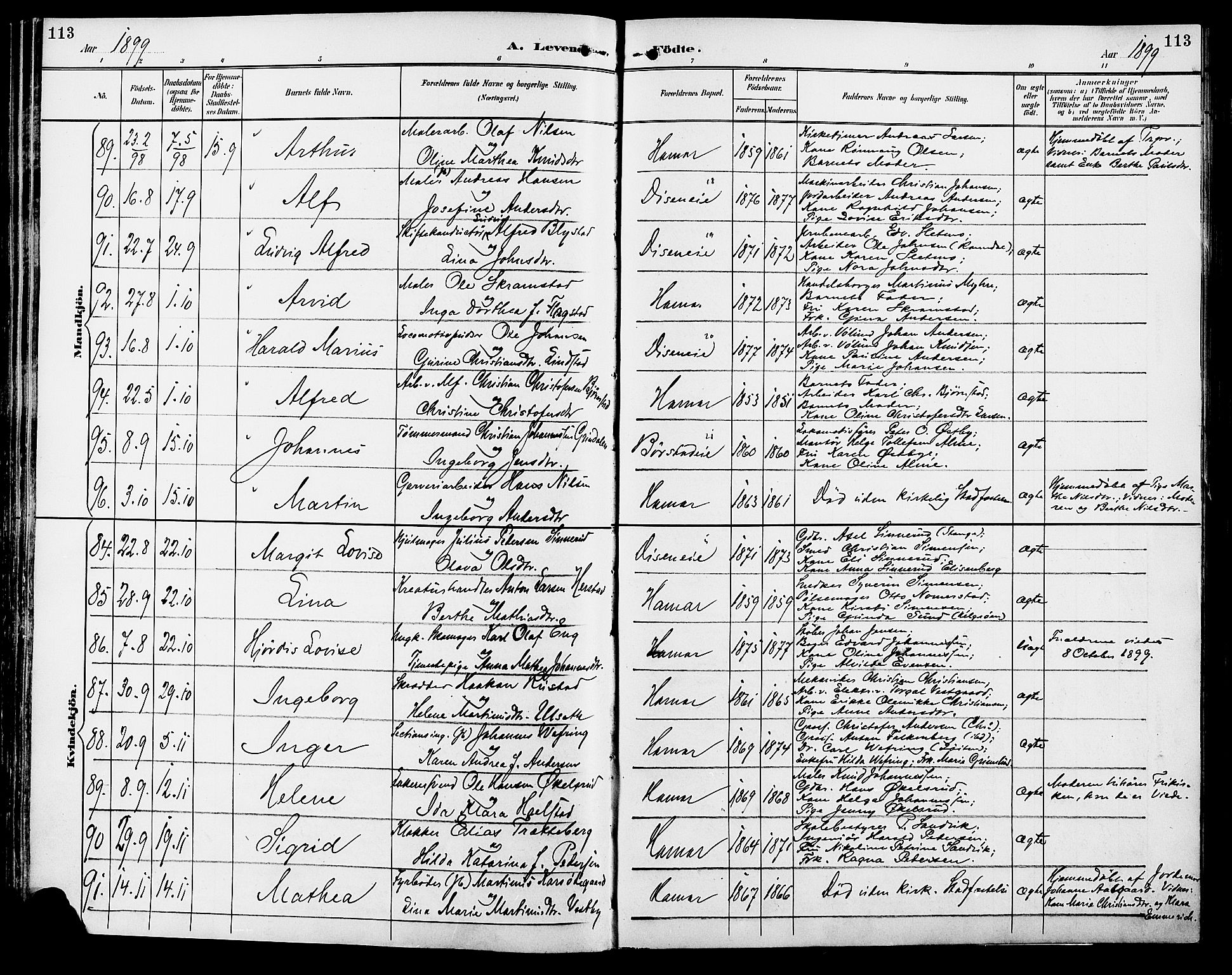 Vang prestekontor, Hedmark, AV/SAH-PREST-008/H/Ha/Haa/L0017: Parish register (official) no. 17, 1890-1899, p. 113