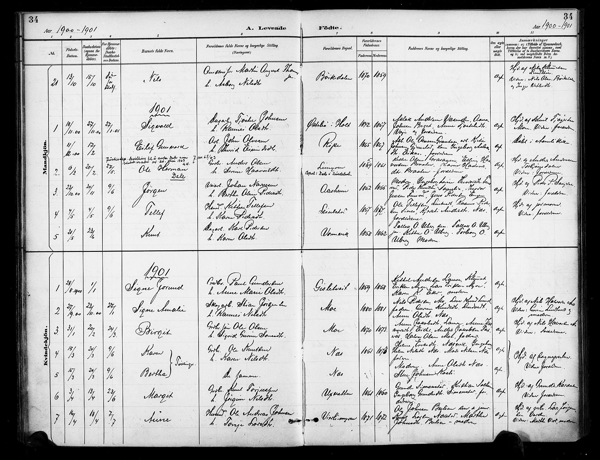 Gjerstad sokneprestkontor, AV/SAK-1111-0014/F/Fa/Fab/L0005: Parish register (official) no. A 5, 1891-1908, p. 34