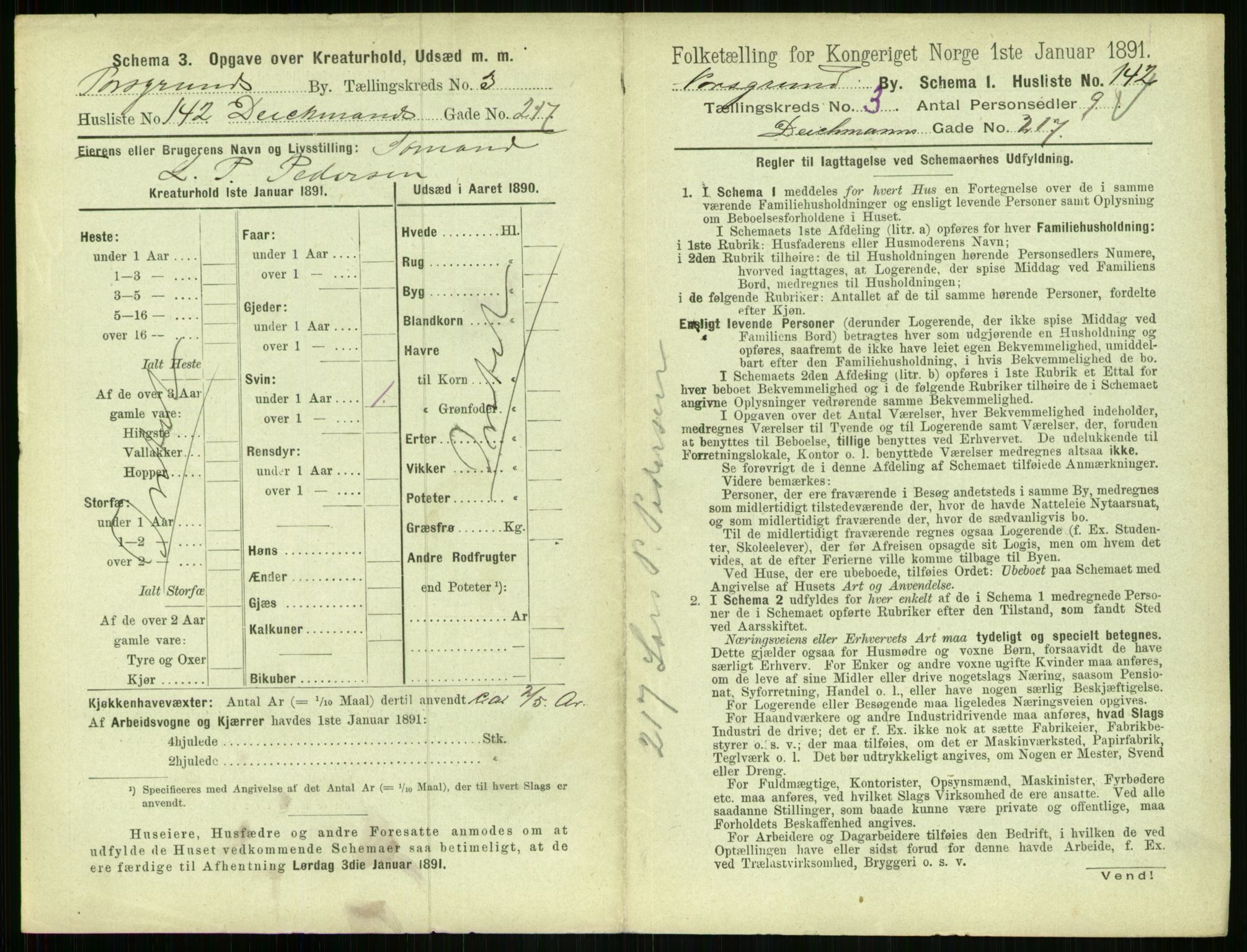 RA, 1891 census for 0805 Porsgrunn, 1891, p. 767