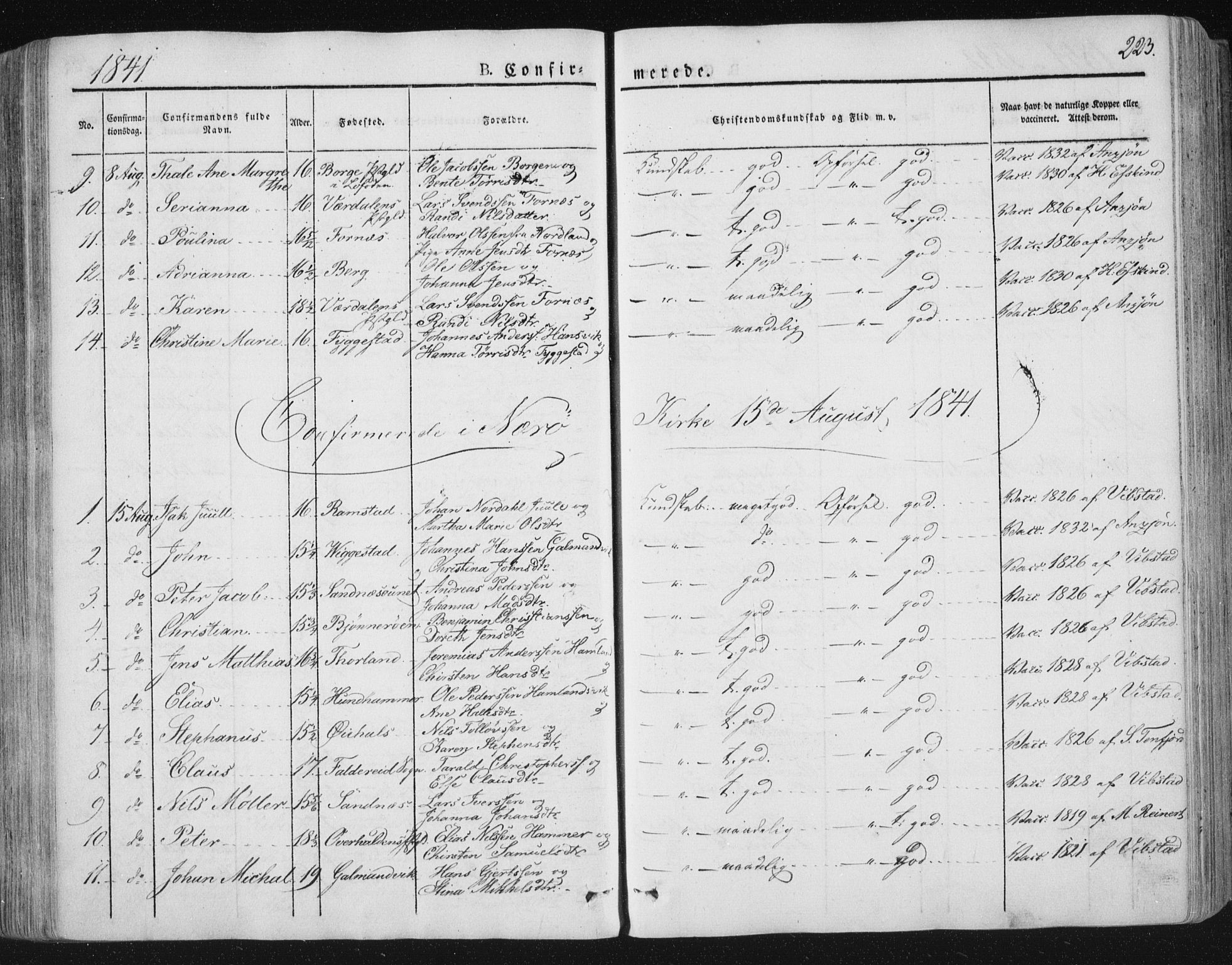 Ministerialprotokoller, klokkerbøker og fødselsregistre - Nord-Trøndelag, SAT/A-1458/784/L0669: Parish register (official) no. 784A04, 1829-1859, p. 223