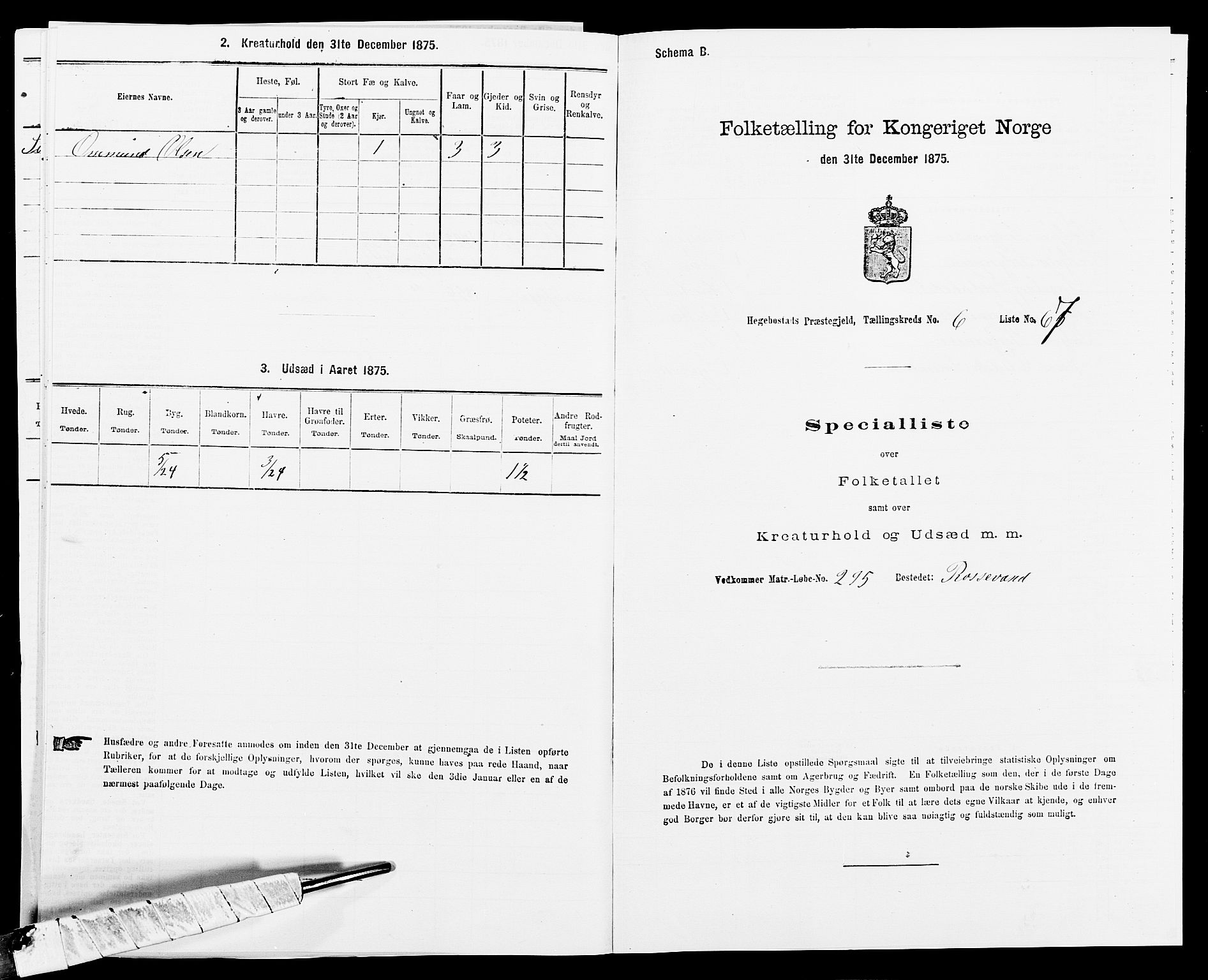 SAK, 1875 census for 1034P Hægebostad, 1875, p. 714