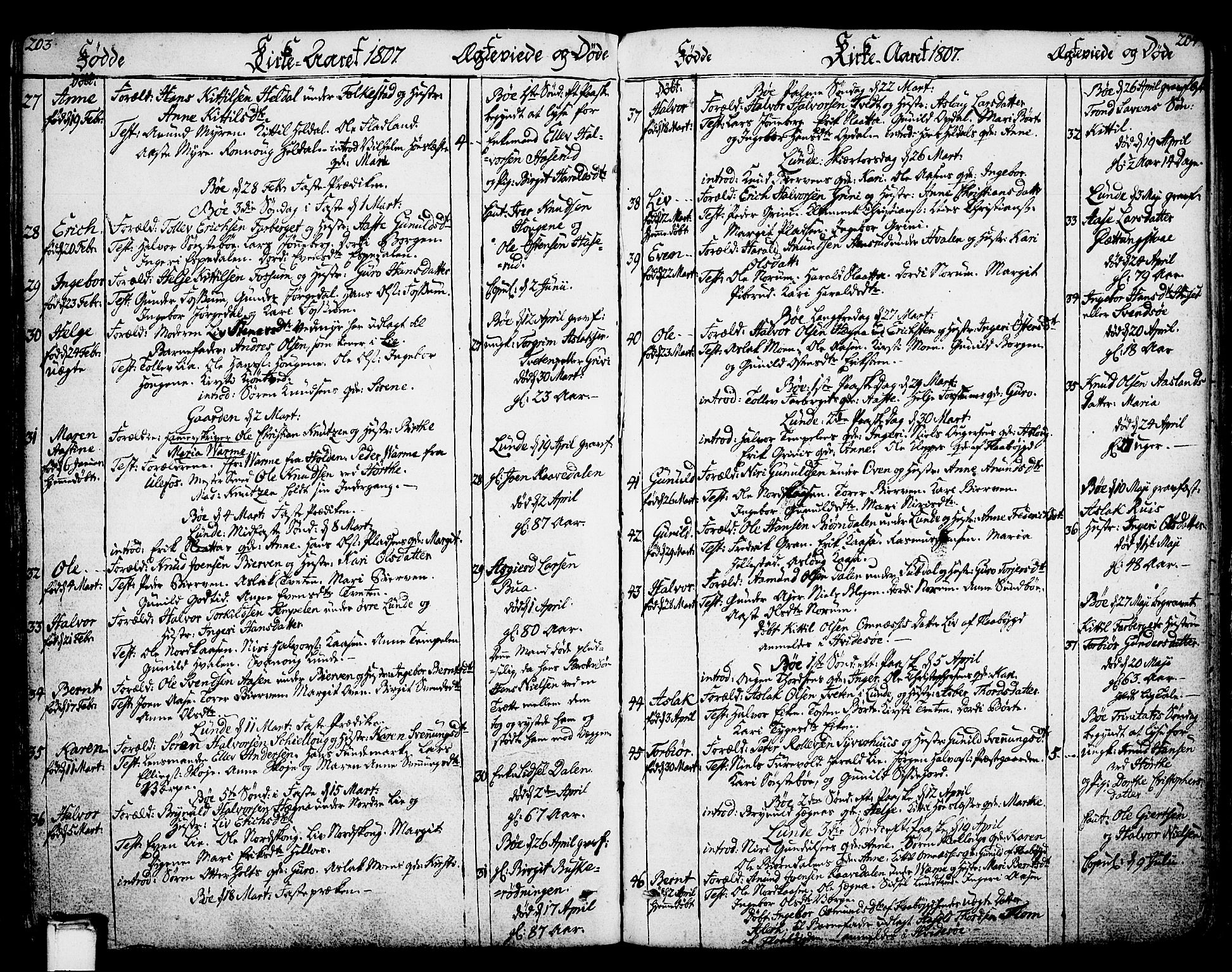 Bø kirkebøker, SAKO/A-257/F/Fa/L0005: Parish register (official) no. 5, 1785-1815, p. 203-204