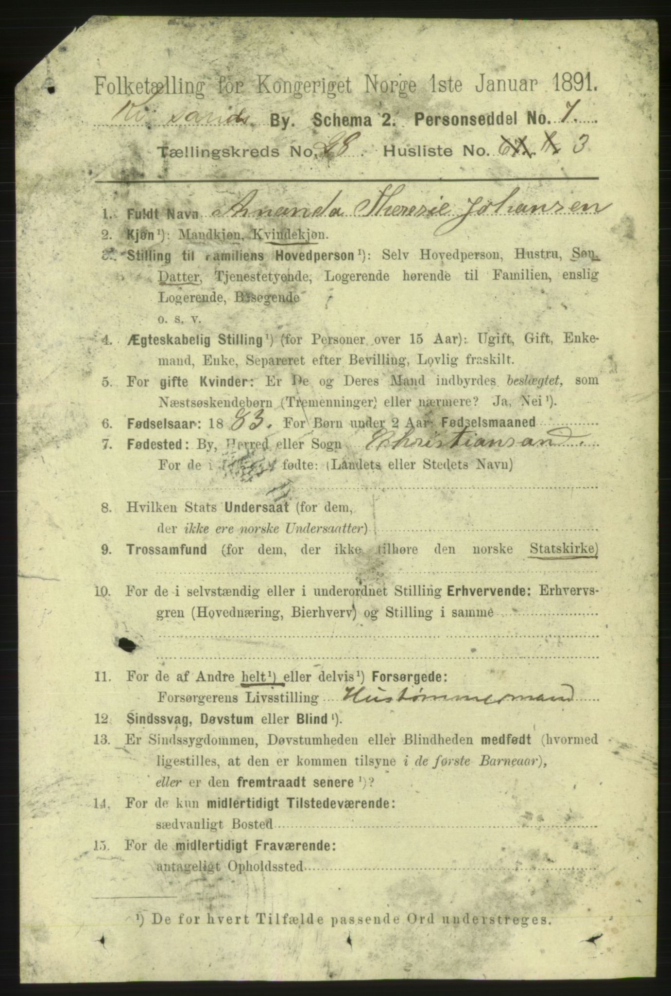 RA, 1891 census for 1001 Kristiansand, 1891, p. 9516