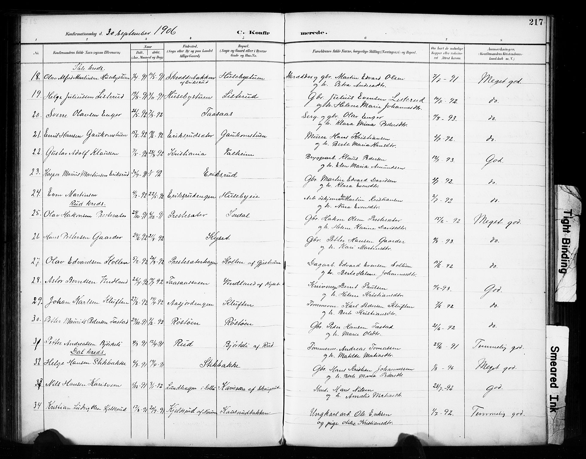 Vestre Toten prestekontor, SAH/PREST-108/H/Ha/Haa/L0011: Parish register (official) no. 11, 1895-1906, p. 217