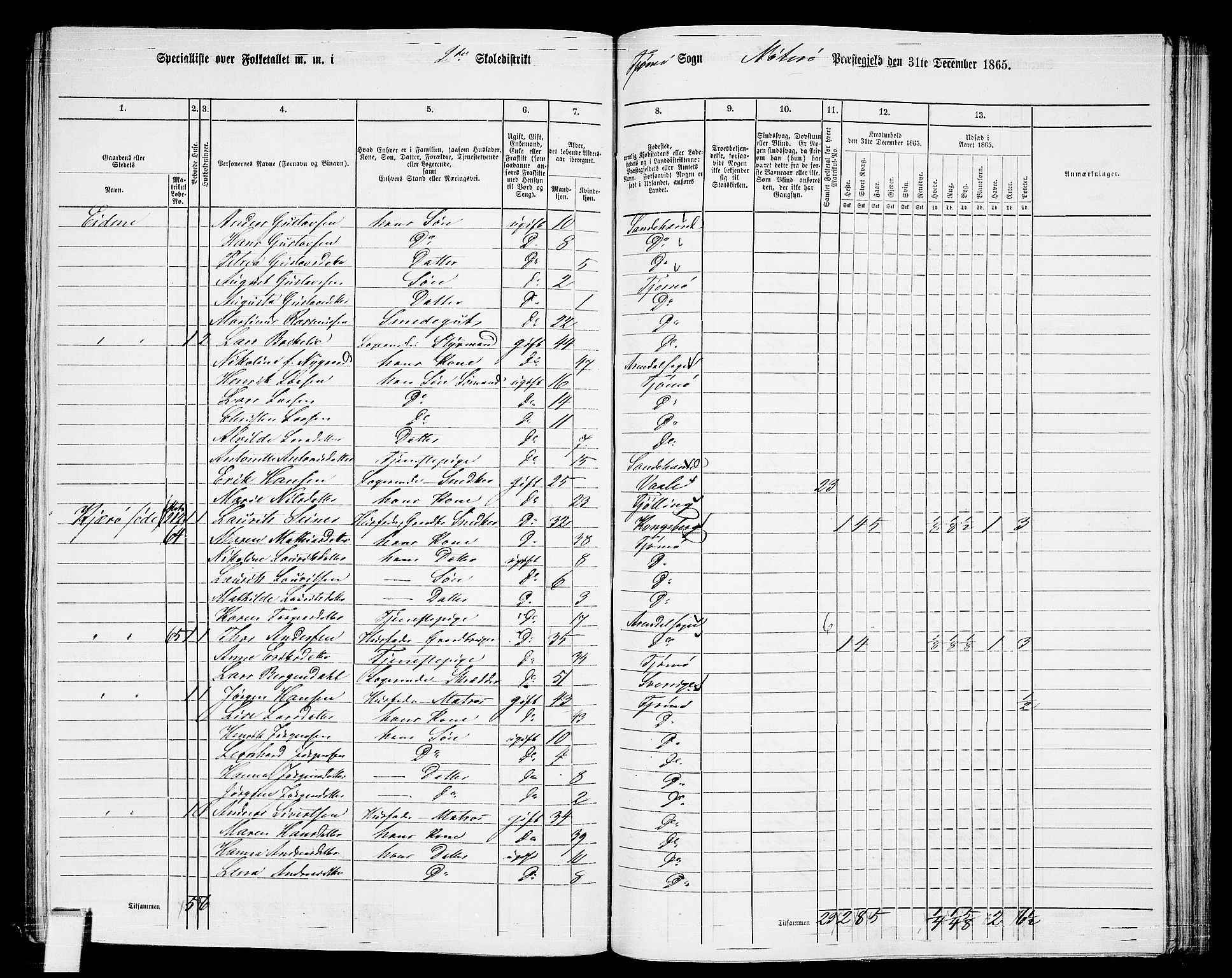 RA, 1865 census for Nøtterøy, 1865, p. 256