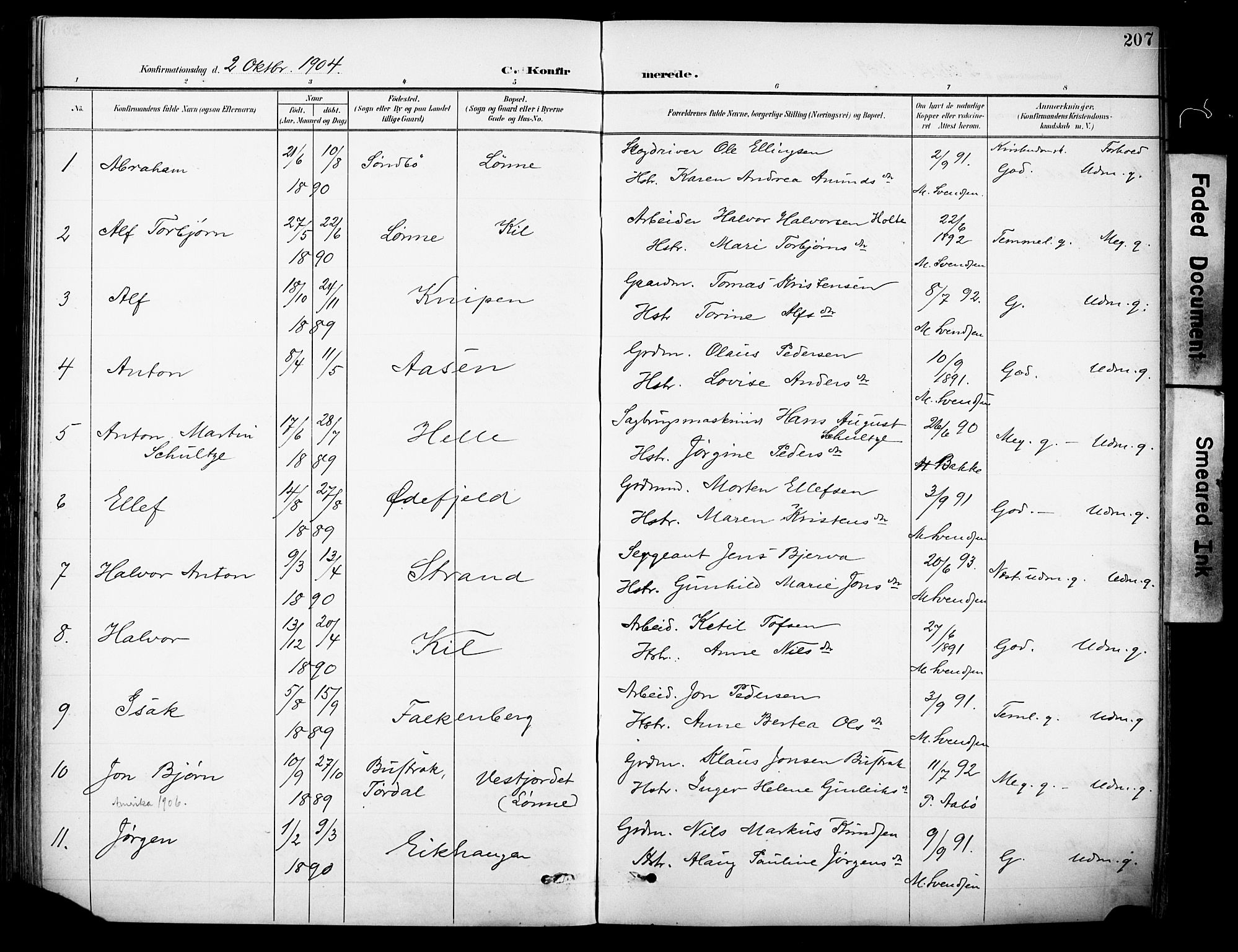 Sannidal kirkebøker, SAKO/A-296/F/Fa/L0016: Parish register (official) no. 16, 1895-1911, p. 207