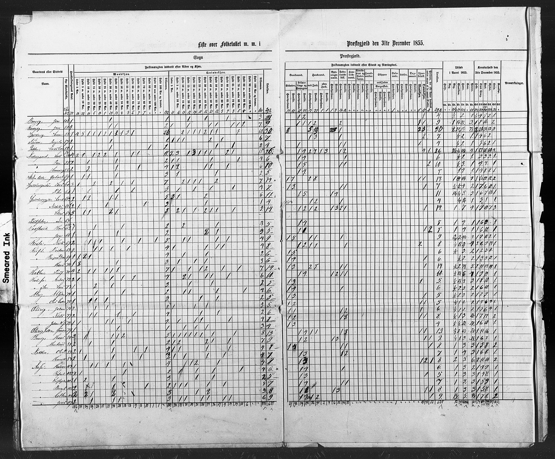 SAT, Census 1855 for Borgund, 1855, p. 116