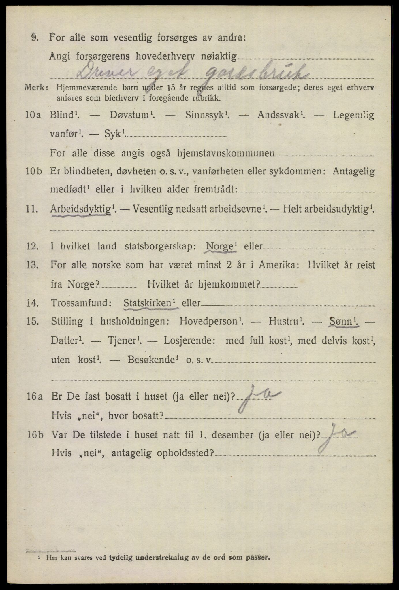 SAKO, 1920 census for Hol (Buskerud), 1920, p. 862