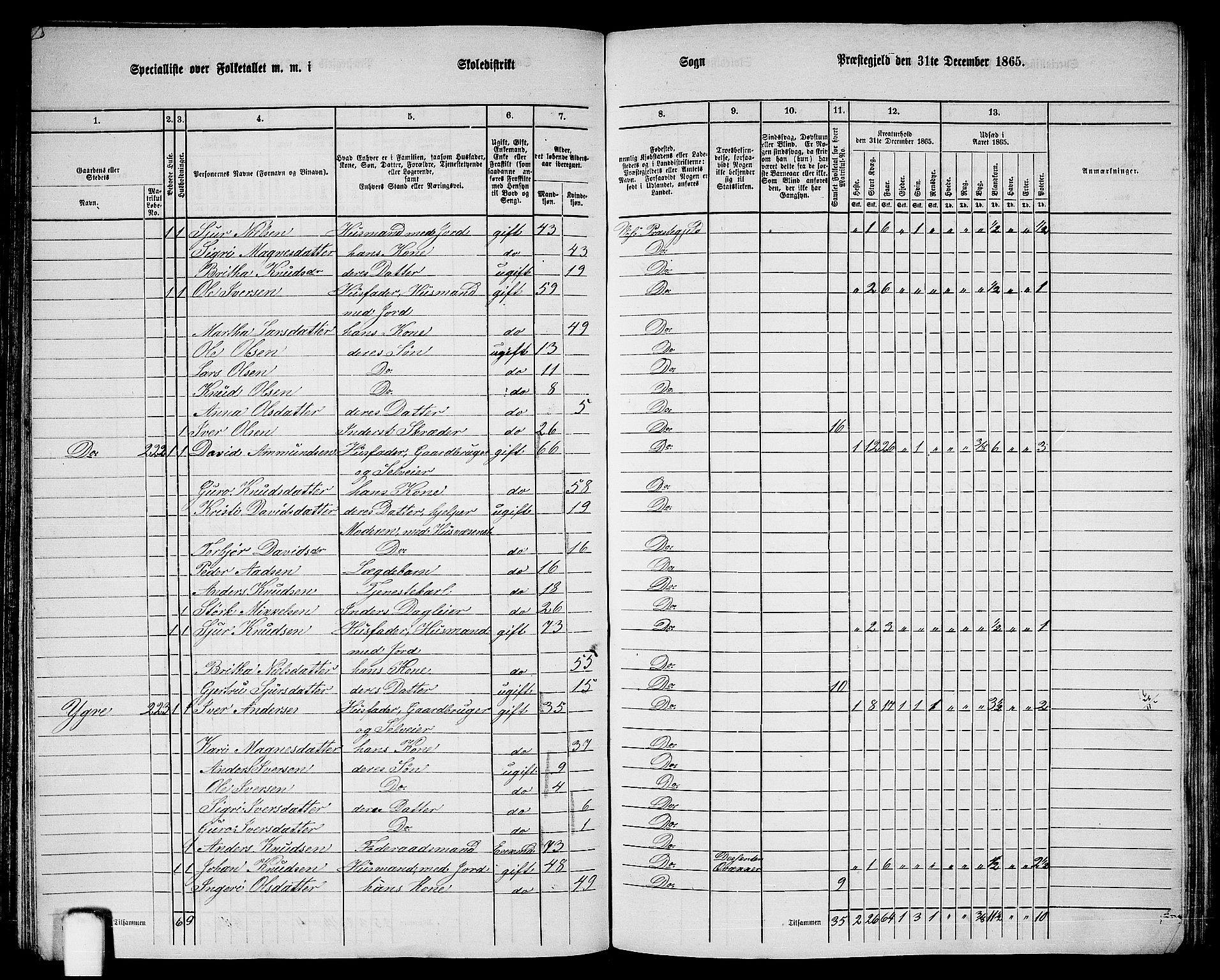 RA, 1865 census for Voss, 1865, p. 115