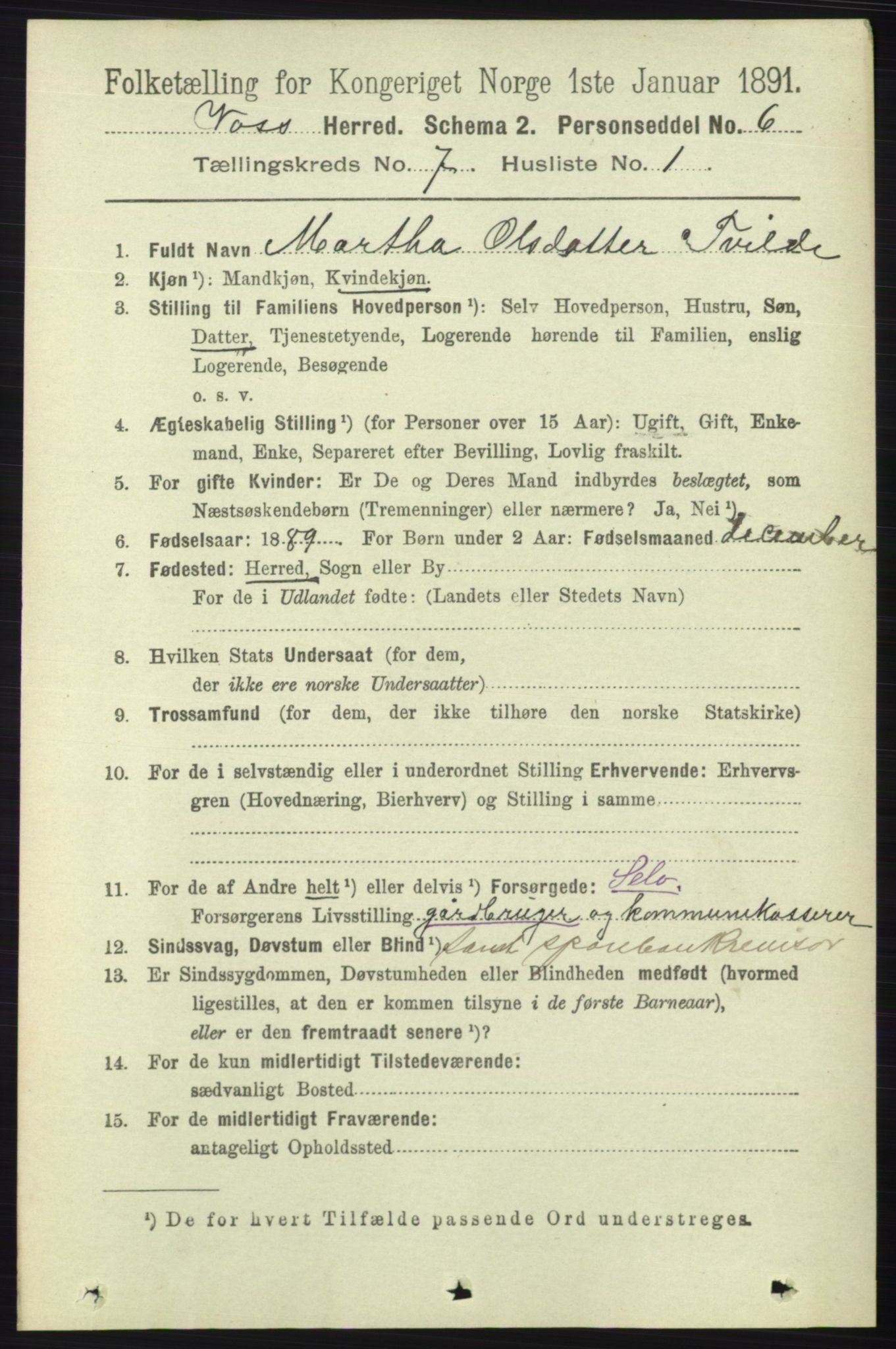 RA, 1891 census for 1235 Voss, 1891, p. 3799