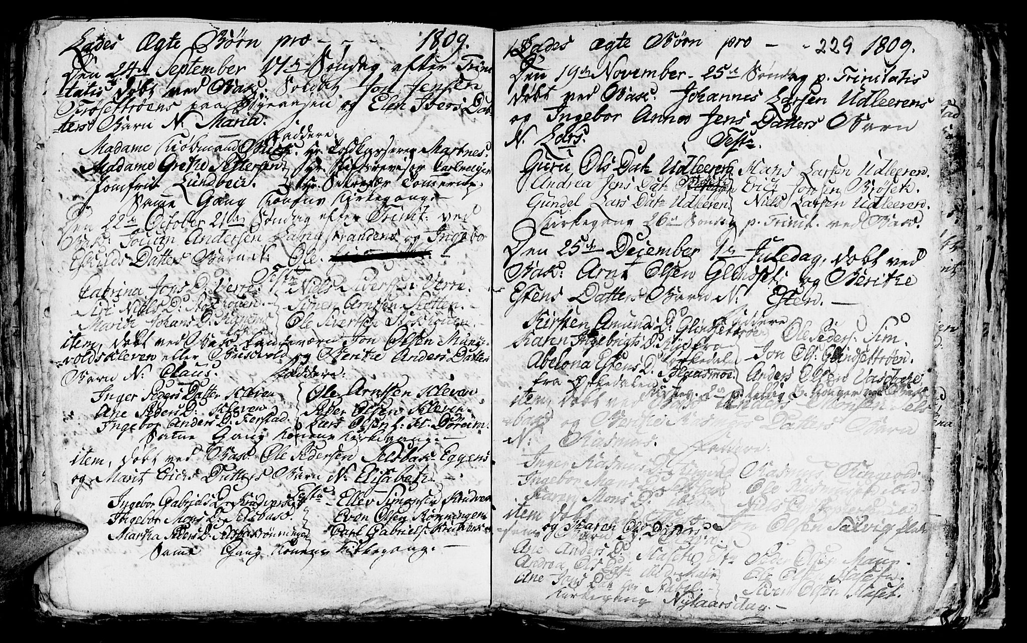 Ministerialprotokoller, klokkerbøker og fødselsregistre - Sør-Trøndelag, SAT/A-1456/606/L0305: Parish register (copy) no. 606C01, 1757-1819, p. 229