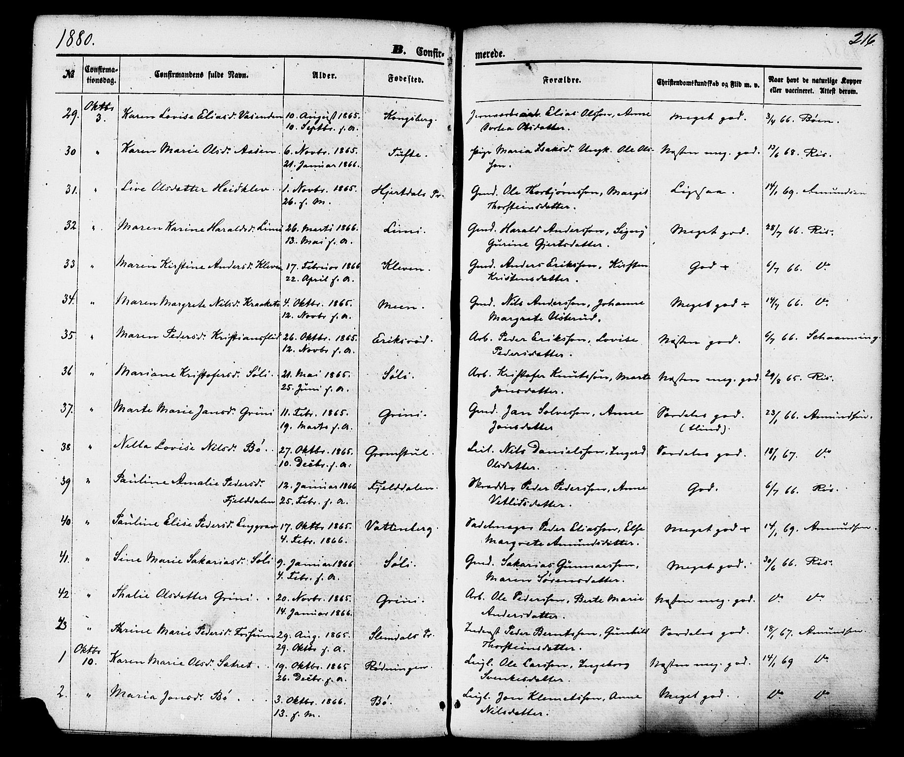 Gjerpen kirkebøker, SAKO/A-265/F/Fa/L0009: Parish register (official) no. I 9, 1872-1885, p. 216